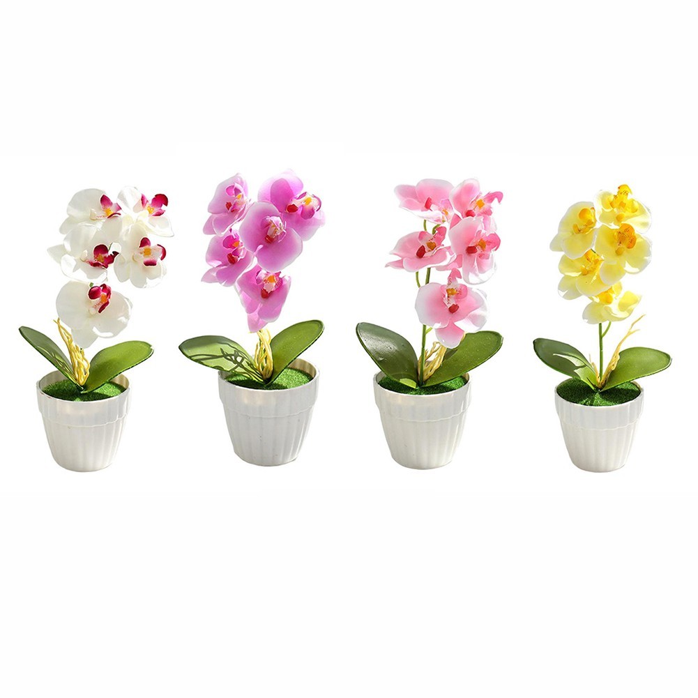 Small Simulation Phalaenopsis Bonsai Flower for Indoor Decorative Display