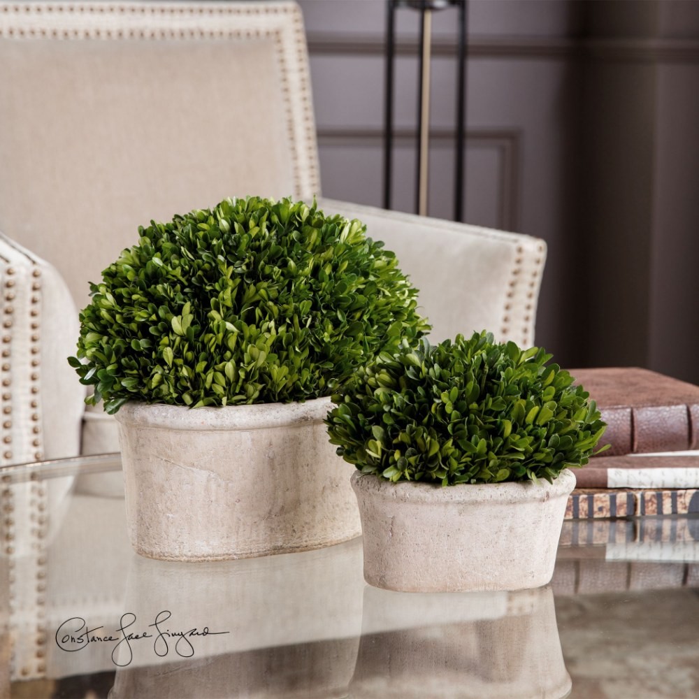Griffin Top – 14 inch Oval Dome Topiary (Set of 2) – Decor – Planters –