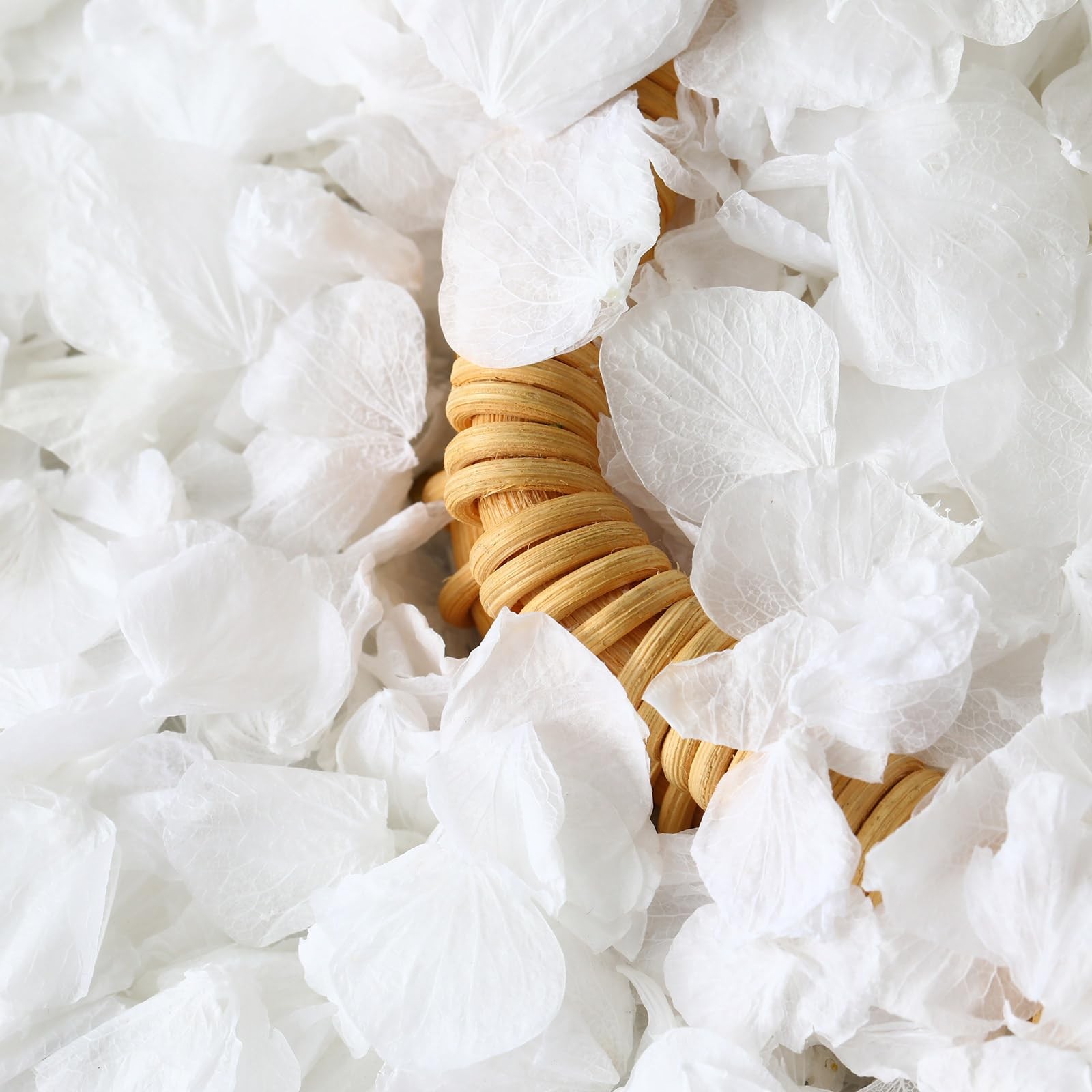 1500+ Dried Real Hydrangea Petals, Natural Preserved Flower Petal for Wedding…