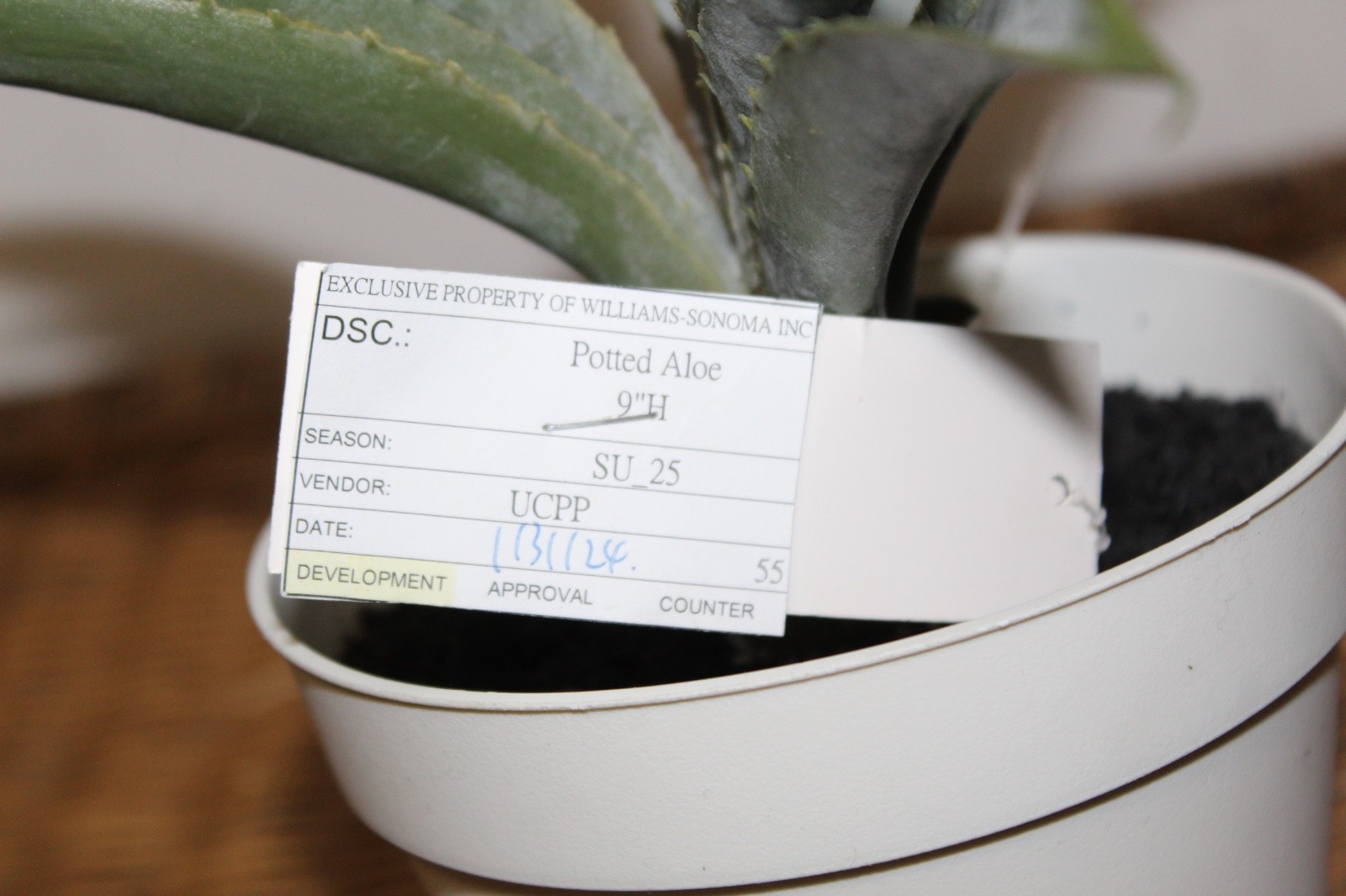 Williams Sonoma Artificial Potted Aloe.