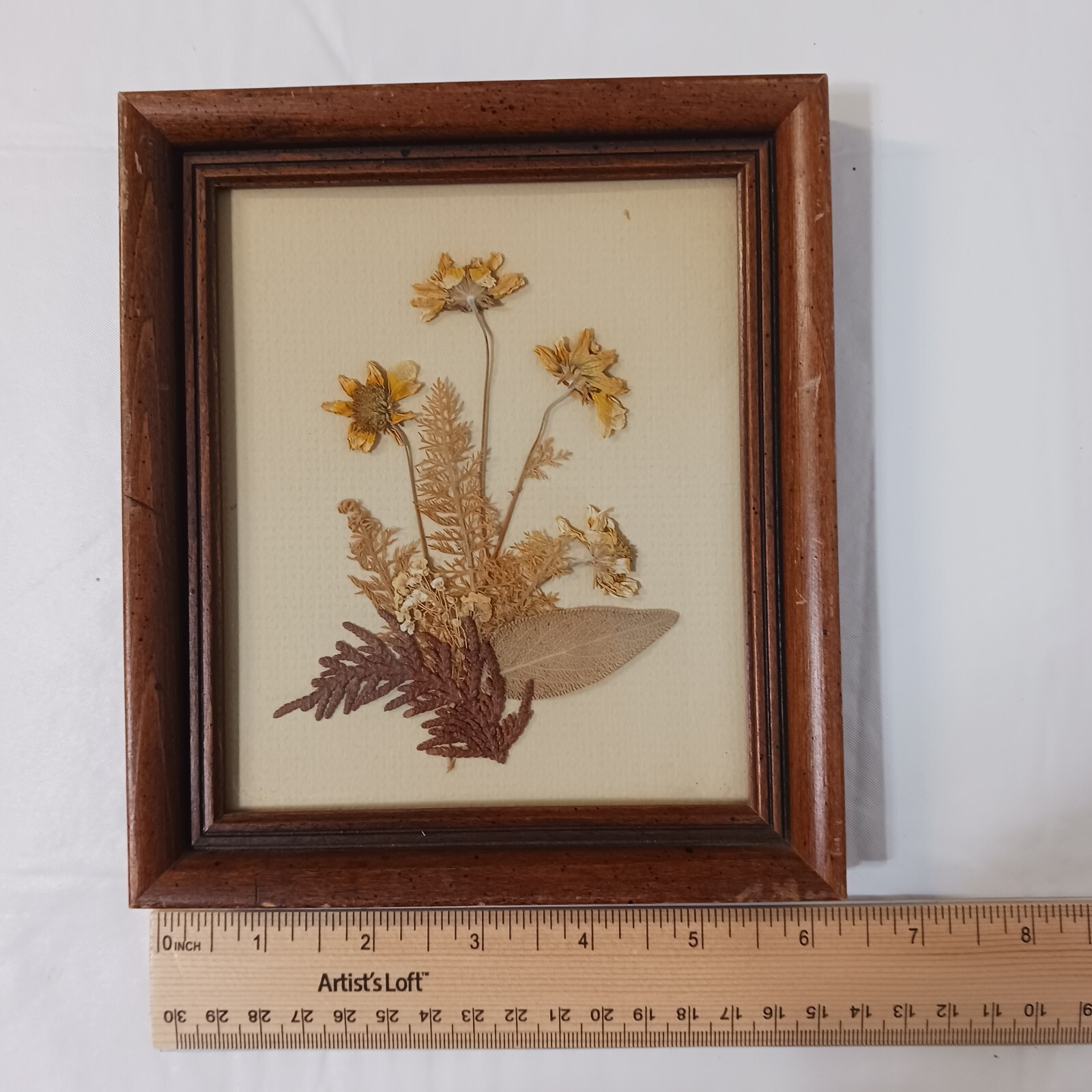 Framed Dried Flower Arrangement 7×6 Multicolored Custom Framed