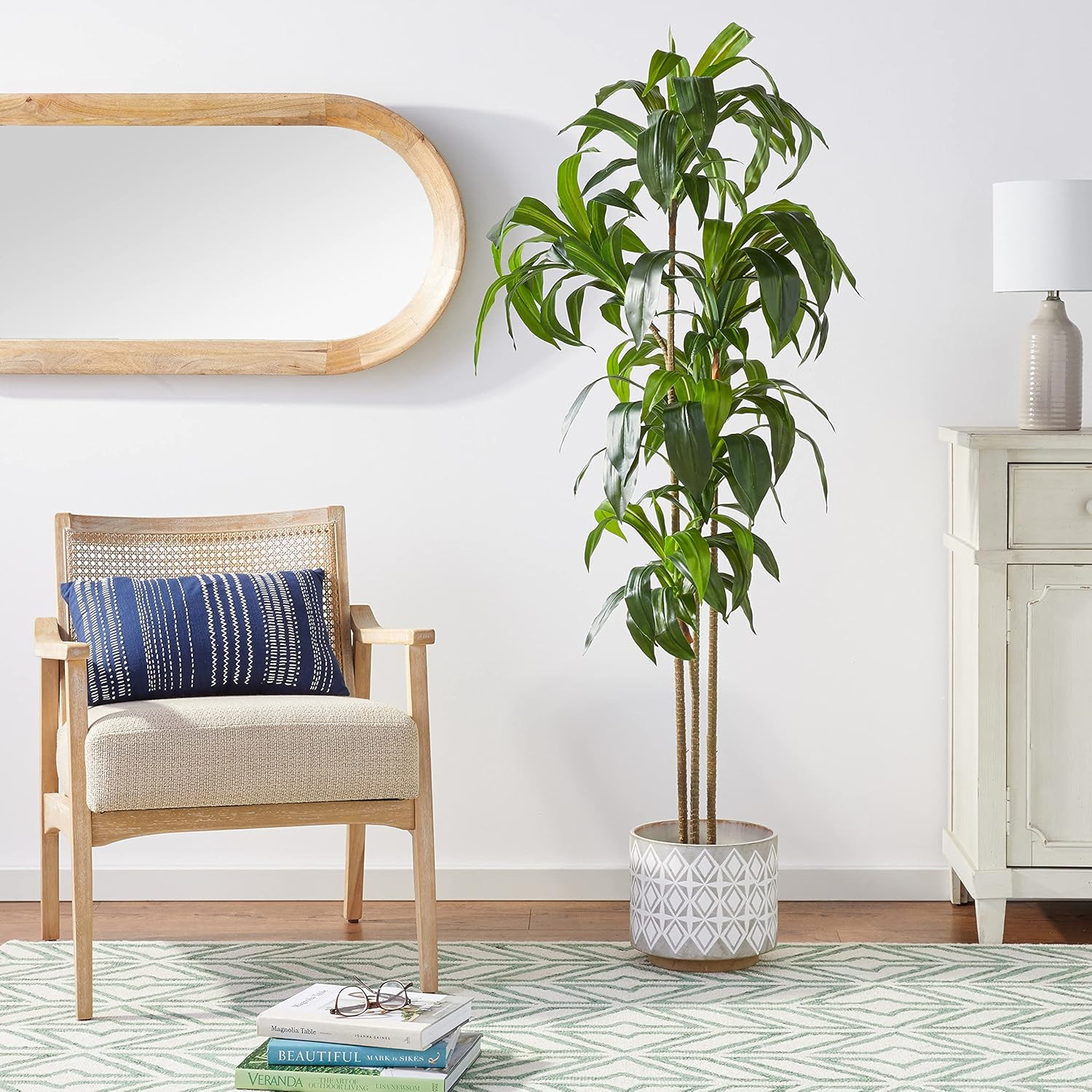 6Ft. Dracaena Silk Plant (Real Touch)