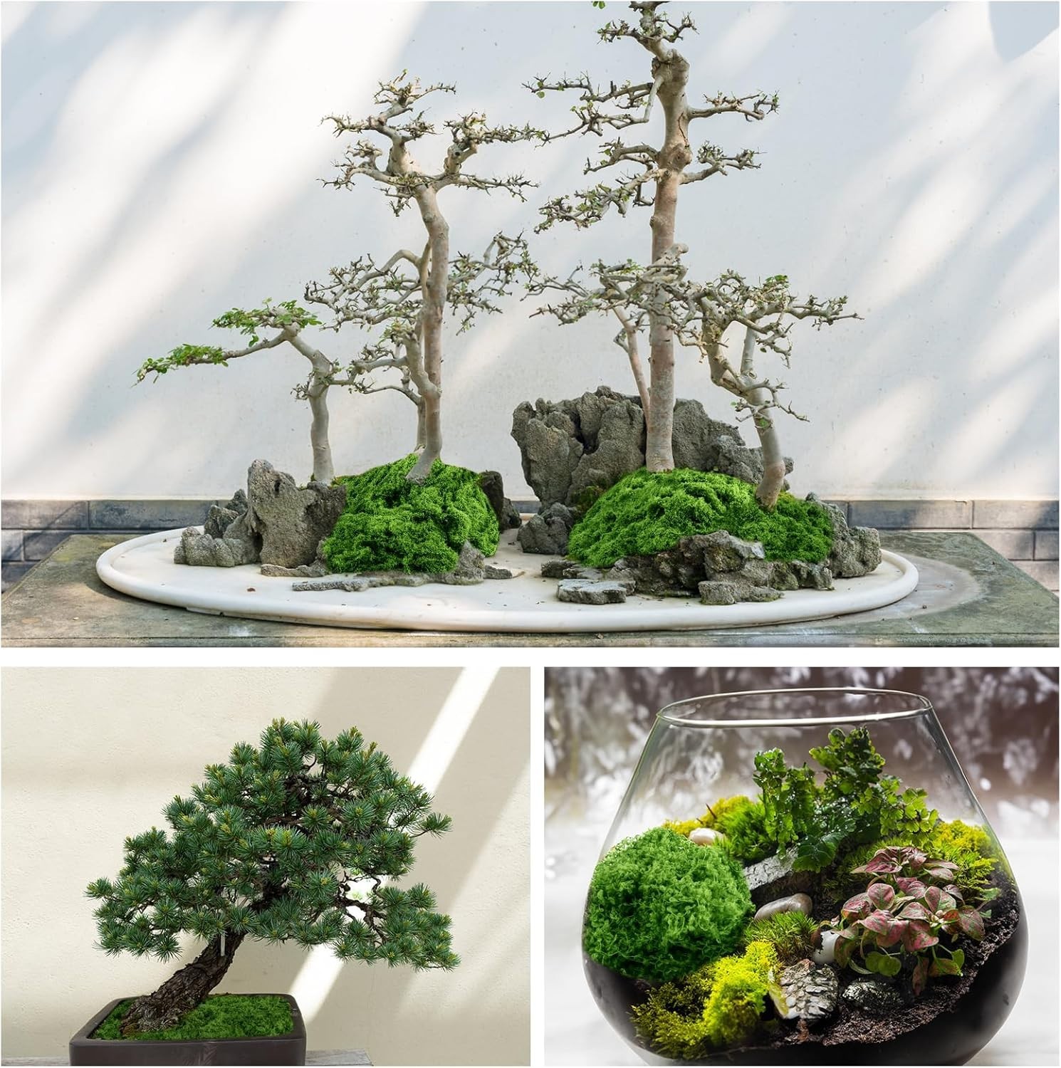 Artificial Green Moss 500g – Fake Moss for Crafts, Terrariums