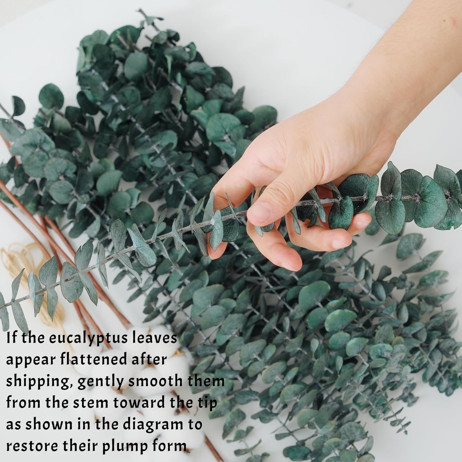16 Pcs Dried Eucalyptus Stems, 17″ Real Preserved Eucalyptus Bouquet for Wedd…