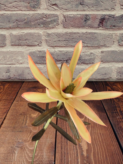 Artificial vintage star protea stems
