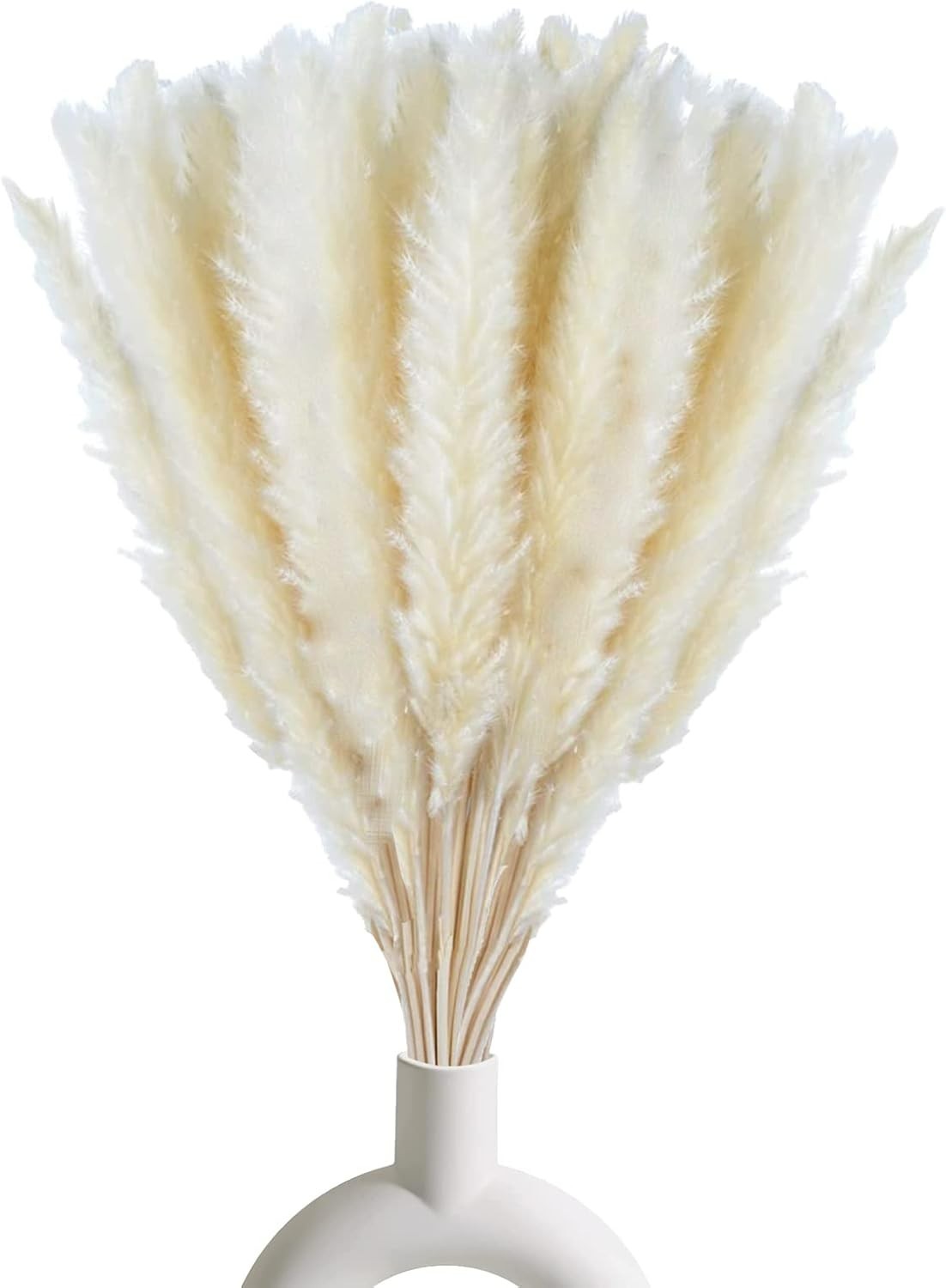 30 Pcs White Pampas Grass ,17 inch/45 cm Natural Dried Pampas Grass Branches …