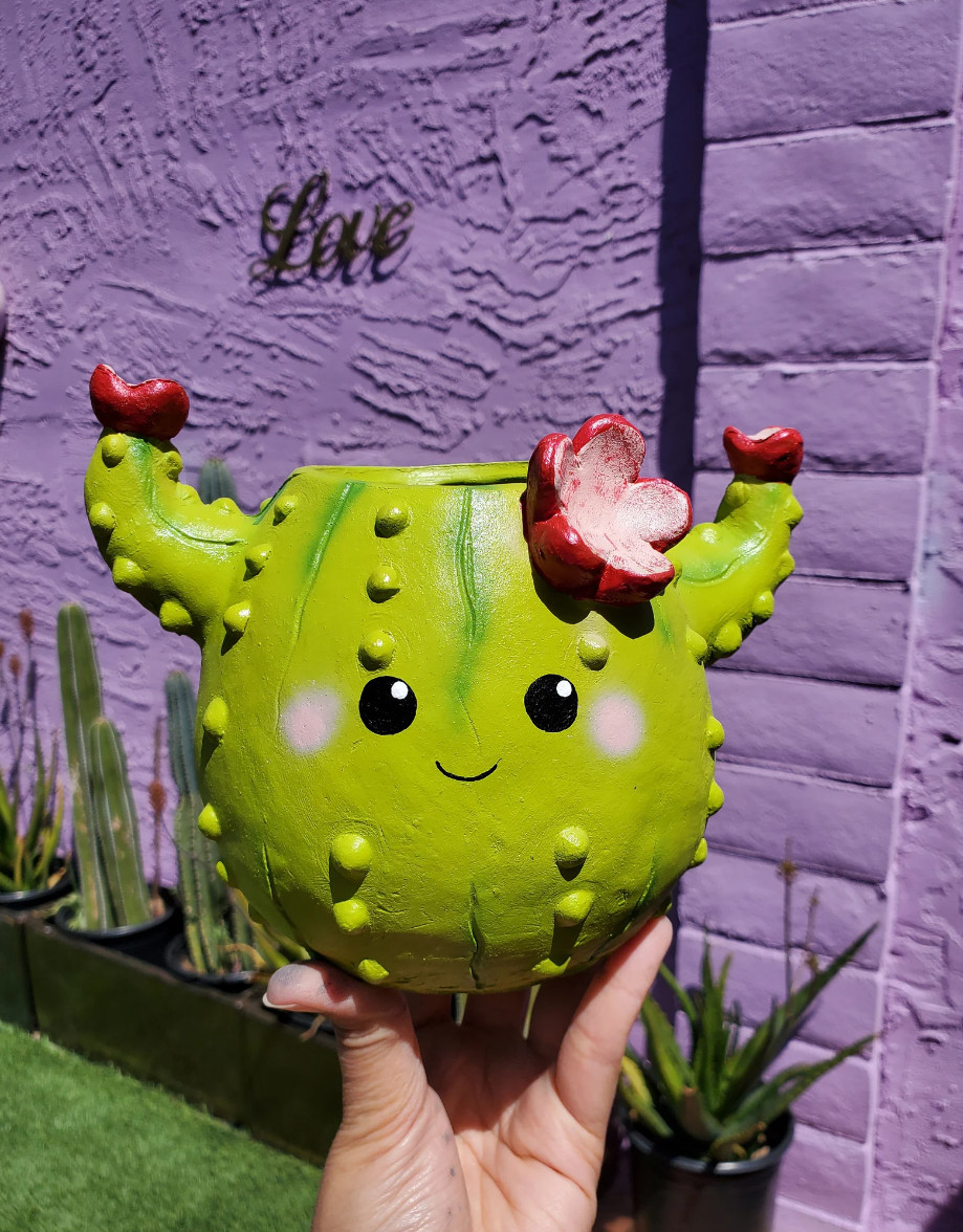 Dark Green Cactus Planter With Drainage Hole – Decorative Indoor Pot