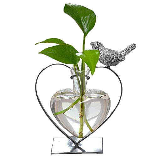 Desktop Glass Vase, Bulb Glass Vases for Holder, Heart Bird Planter Glass Vase