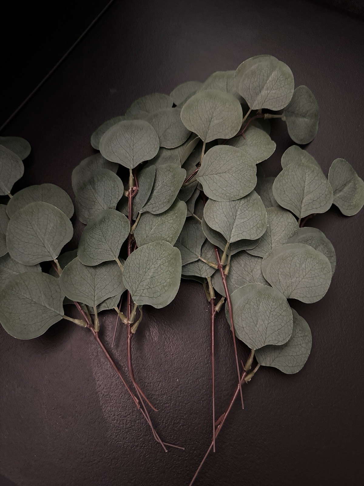 65 Stem Silk Faux Eucalyptus Silver Dollar Greenery Filler