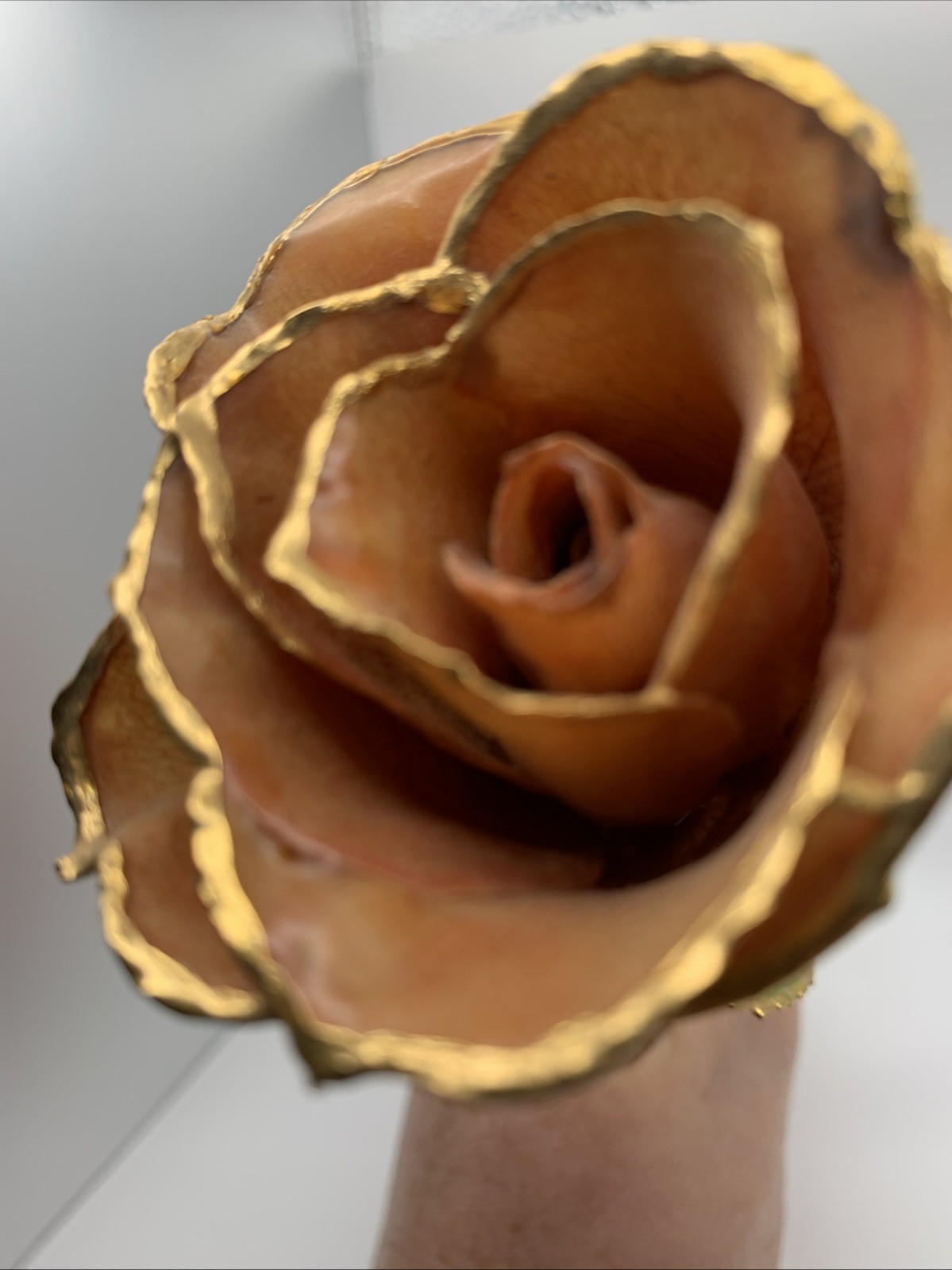 Real Rose Lacquer Dipped 24 Karat Gold Trim Lite Pink/Orange 11.5” With Vase