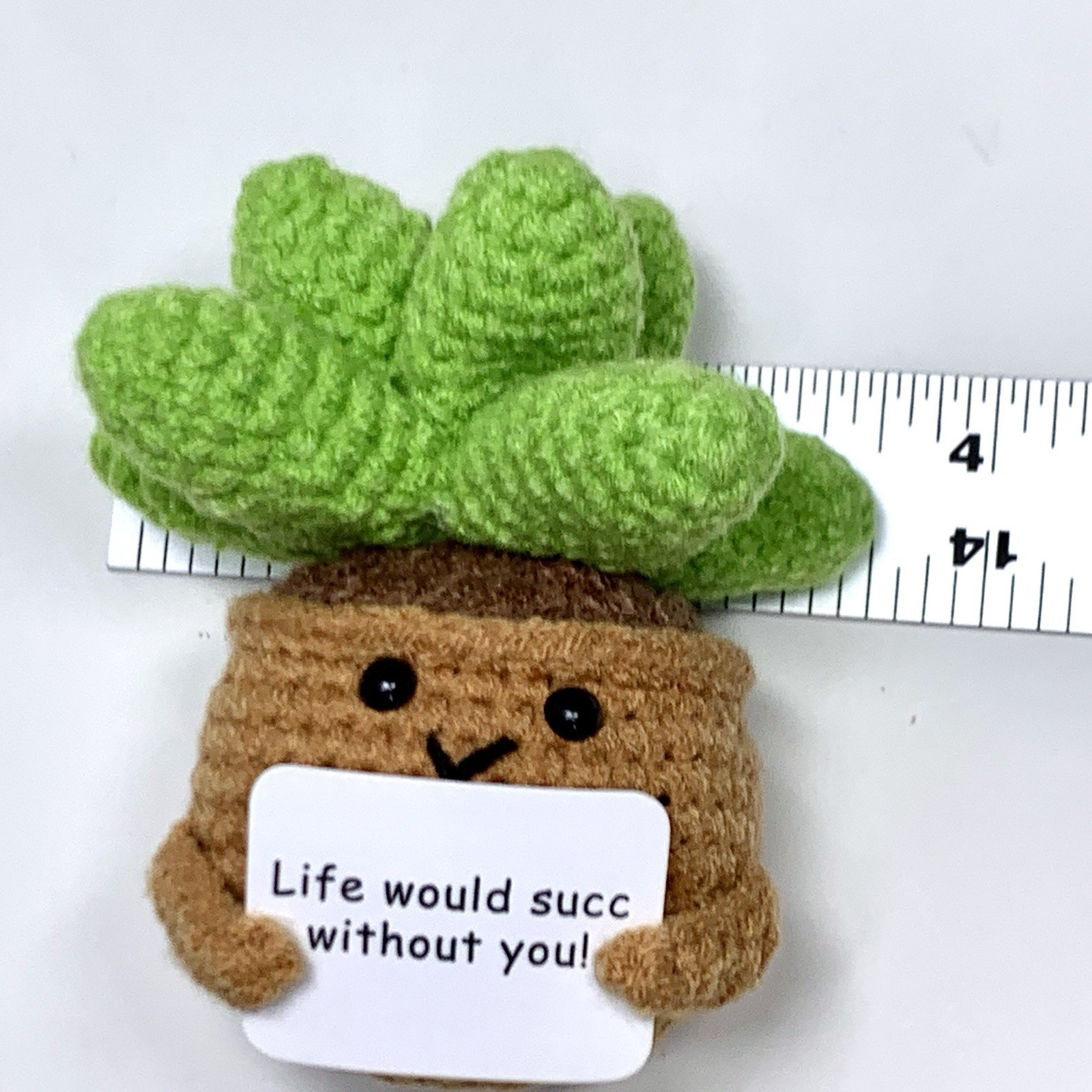Small Novelty Crochet Succulent Potted Plant Saying Life Would Succ Without You