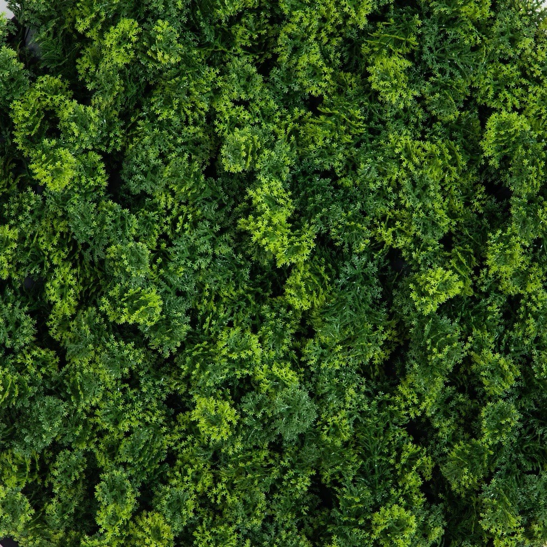 Artificial Boxwood Topiary Ball Wall Decor, Green Nature Theme, 20″ Dia