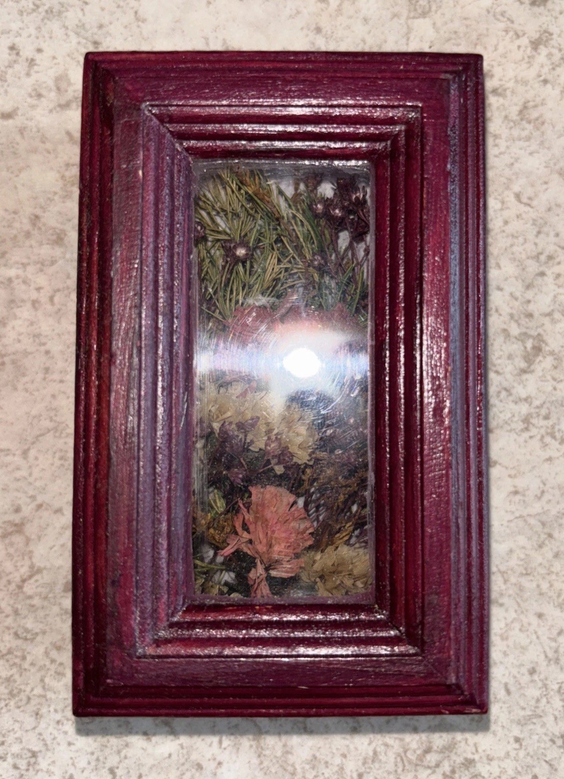 2 Dried Floral Terrarium in Wood Hinged Display Cases Witchy Boho Whimsygoth
