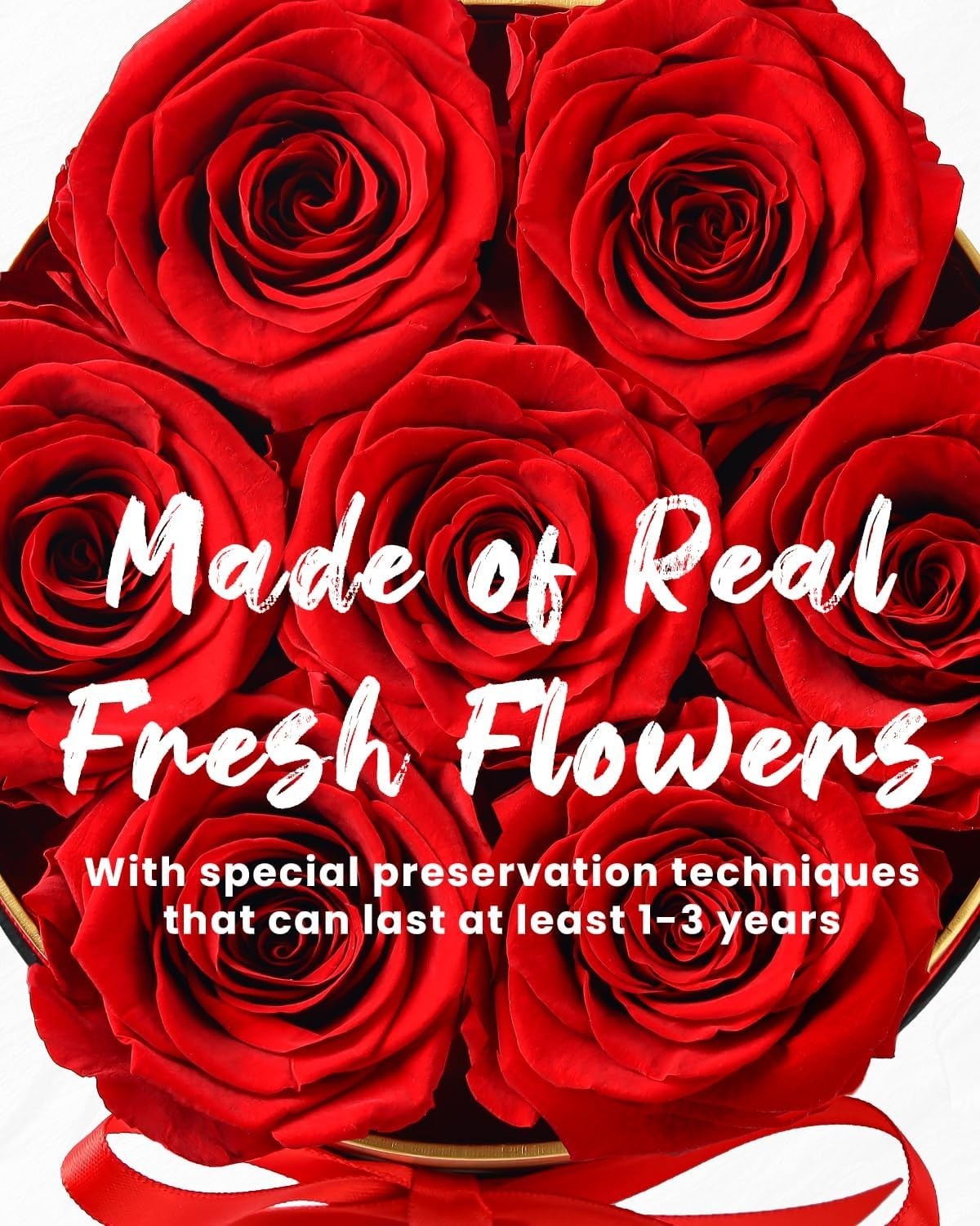 7 Preserved Roses in Box – Lasts 2-3 Years, Perfect Gift for Women, Anniversary