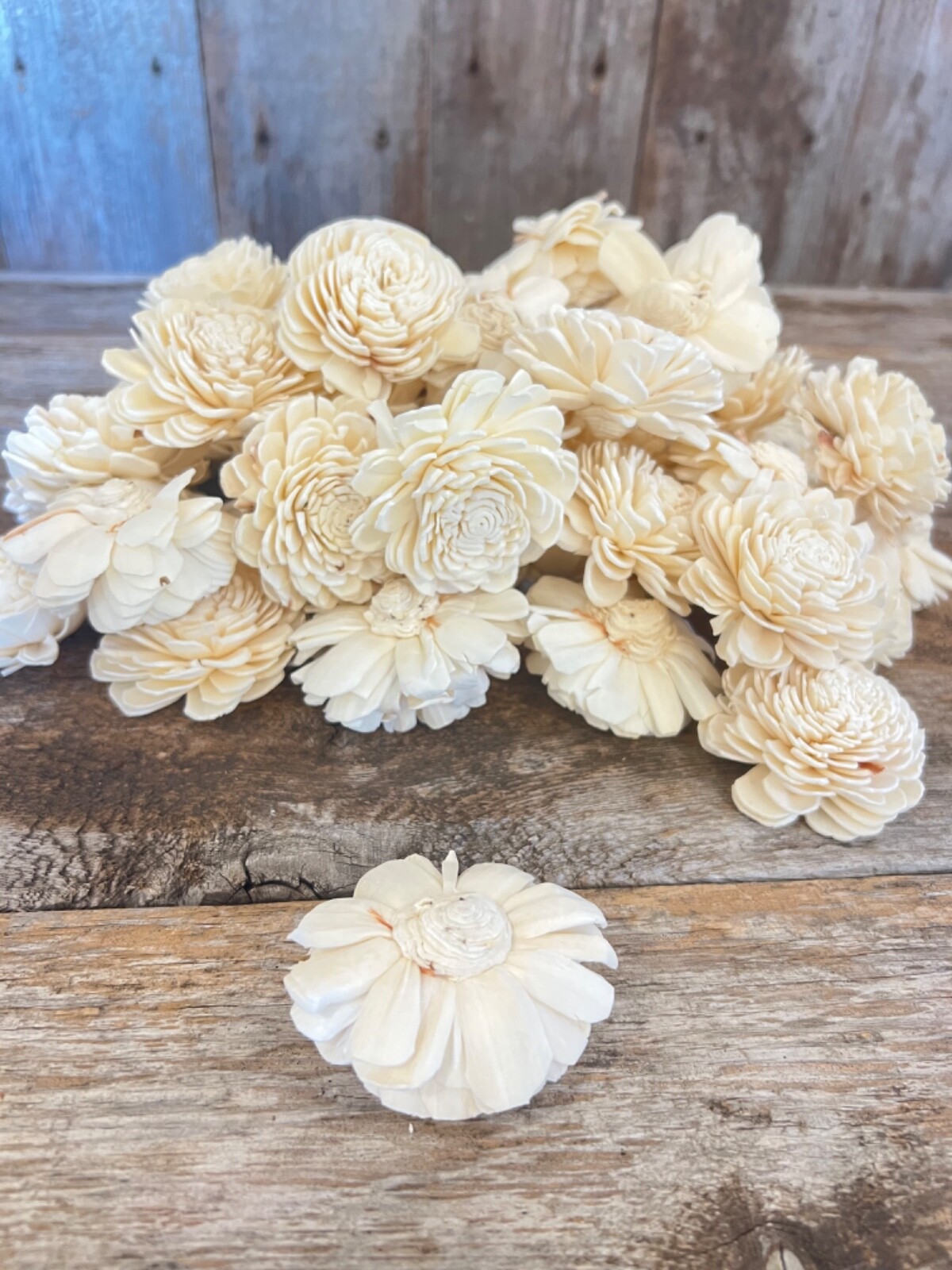 Ivory Belly Sola Wood Flowers – Set of 100 – Craft Flowers