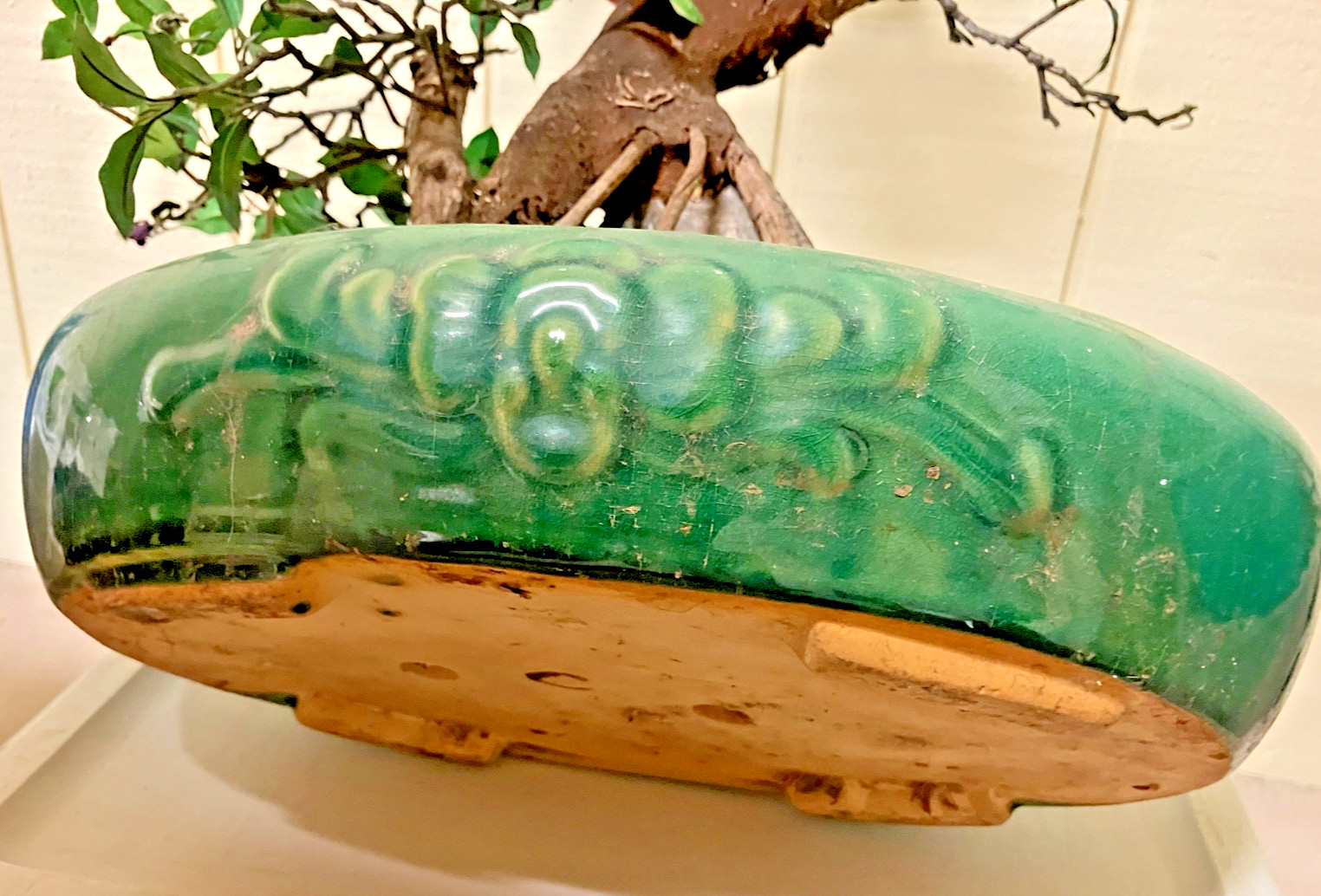 REALISTIC ARTIFICIAL BONSAI TREE PLANT W/GREEN CERAMIC POT – 31″ T -POT 14X10X4″