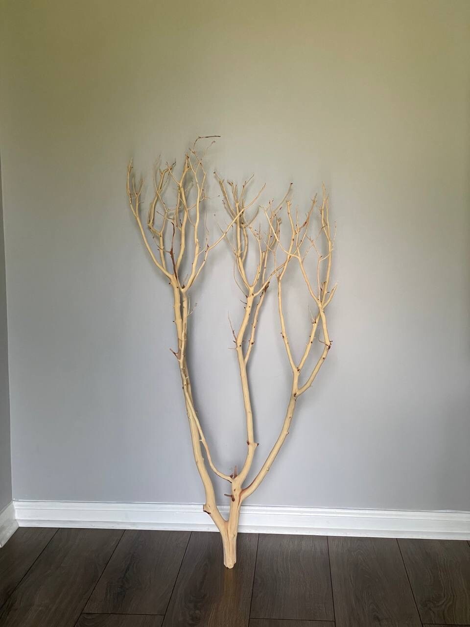 2 Manzanita Branches – Sandblasted 48″