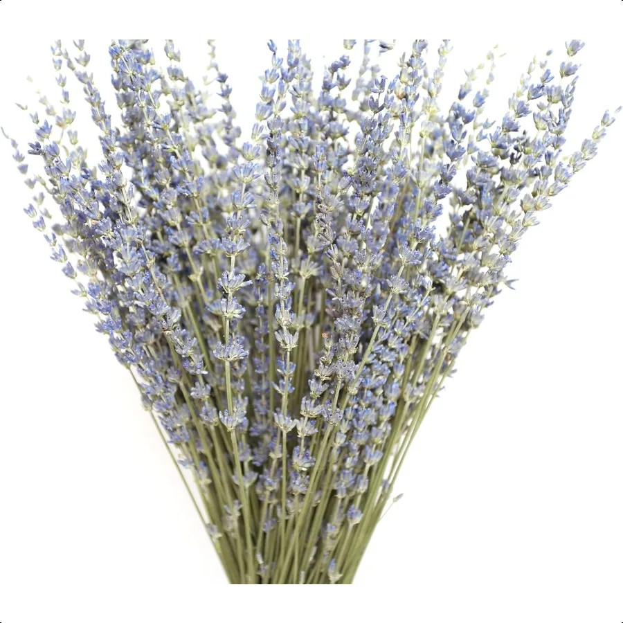 17” Natural Real Dried Eucalyptus Stems & Lavender Flowers Bundle for Shower