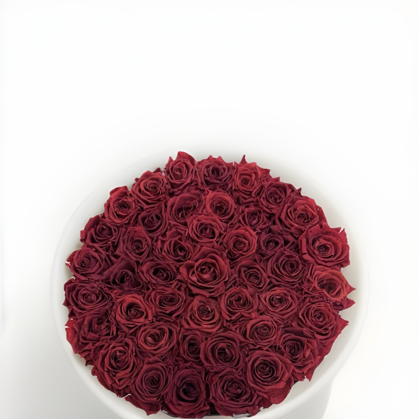 Venus et Fleur Red Roses Flower Box Arrangement Large Black Container 45 Roses