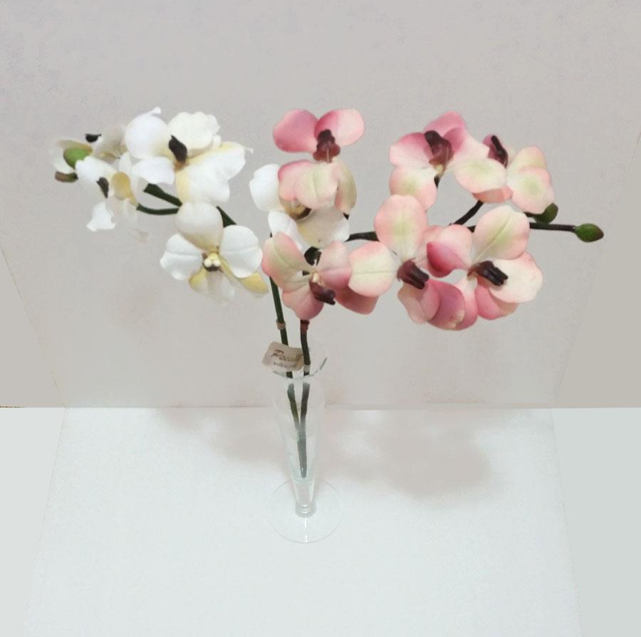 Butterfly Orchid Stems Choose Color