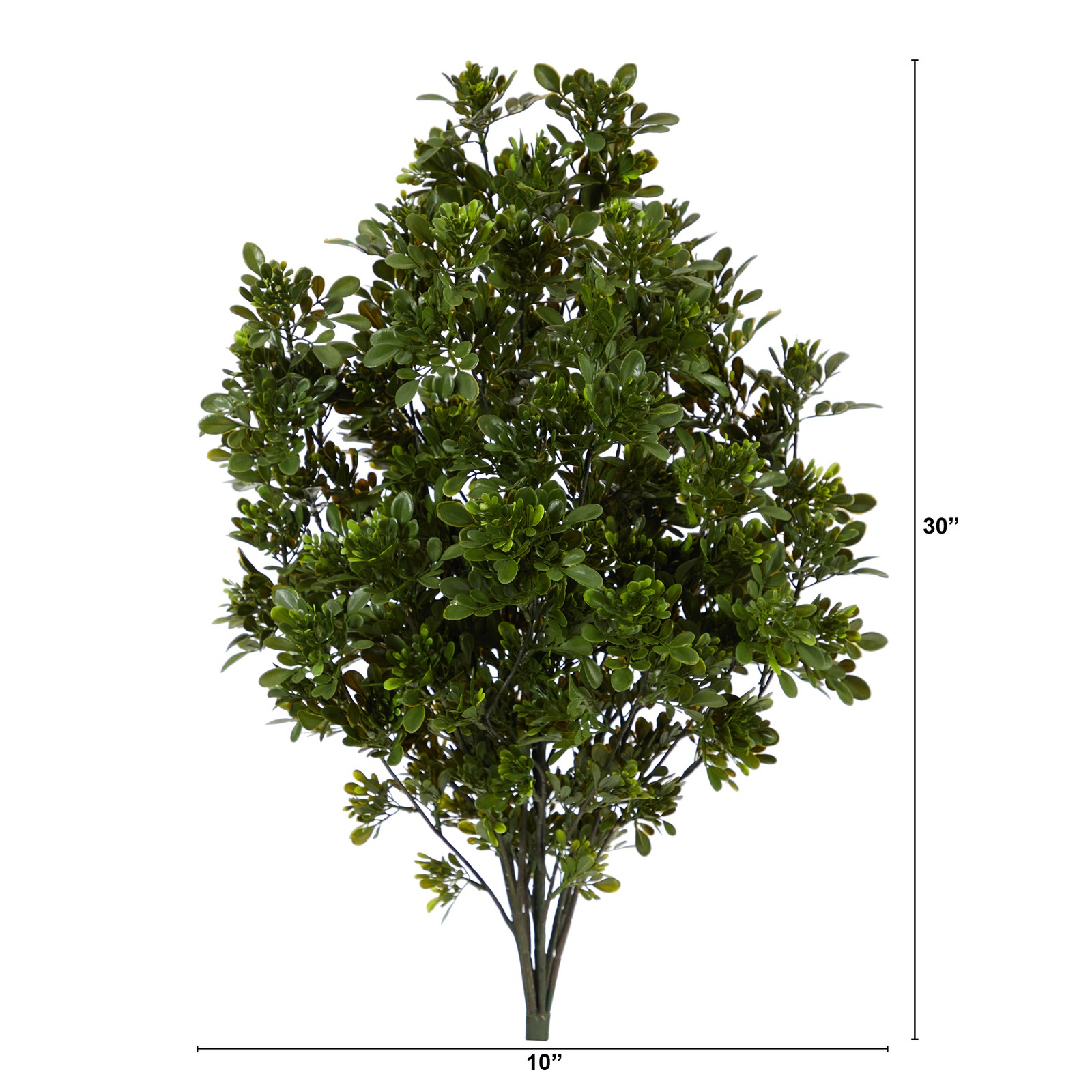 Nearly Natural 2.5ft Tea Leaf Artificial Plant UV Resistant (Indoor/Outdoor)