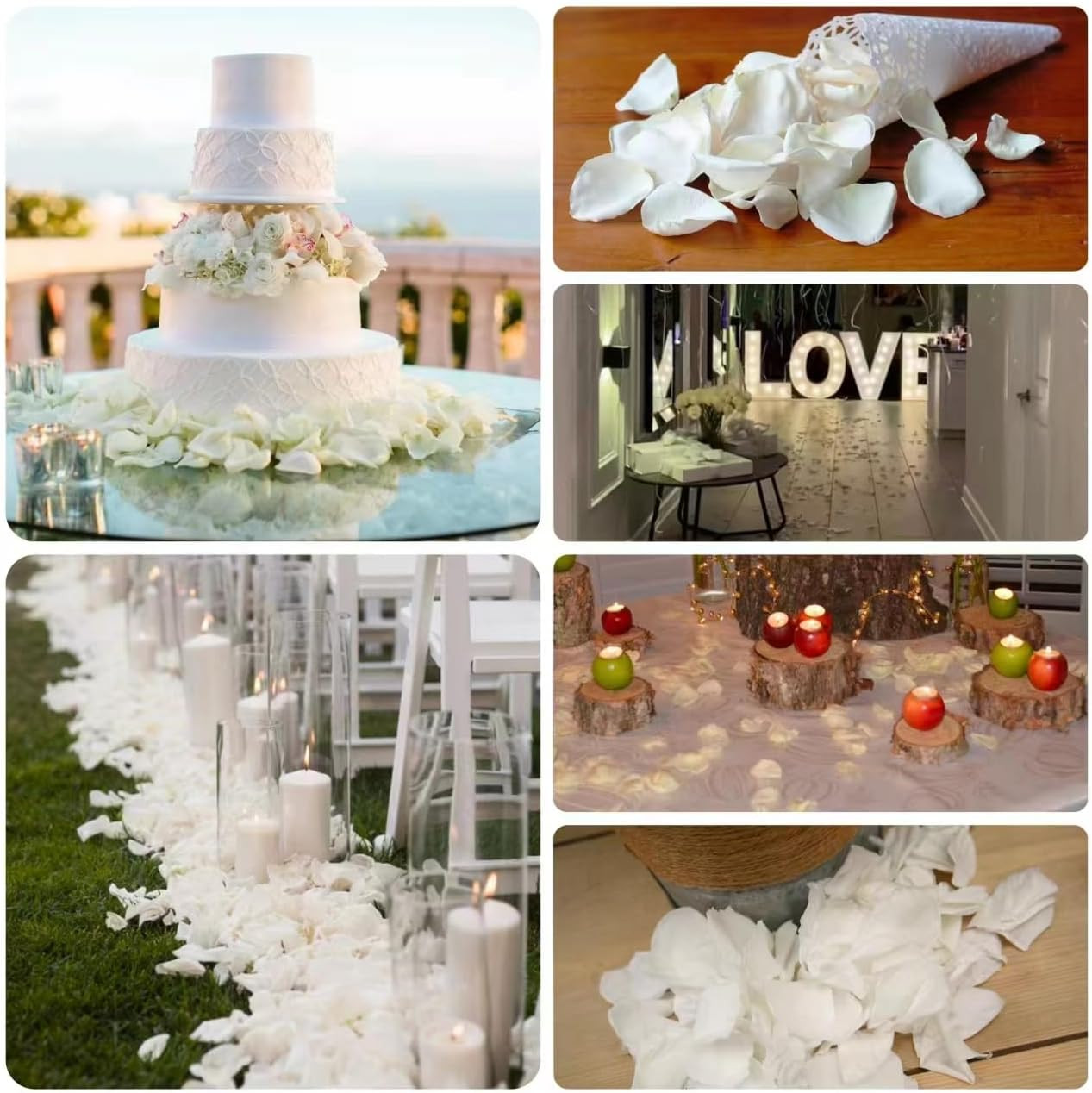 300Pcs Dried Real White Rose Petals, Freeze Preserved Flower Petals 2.8 Oz for G