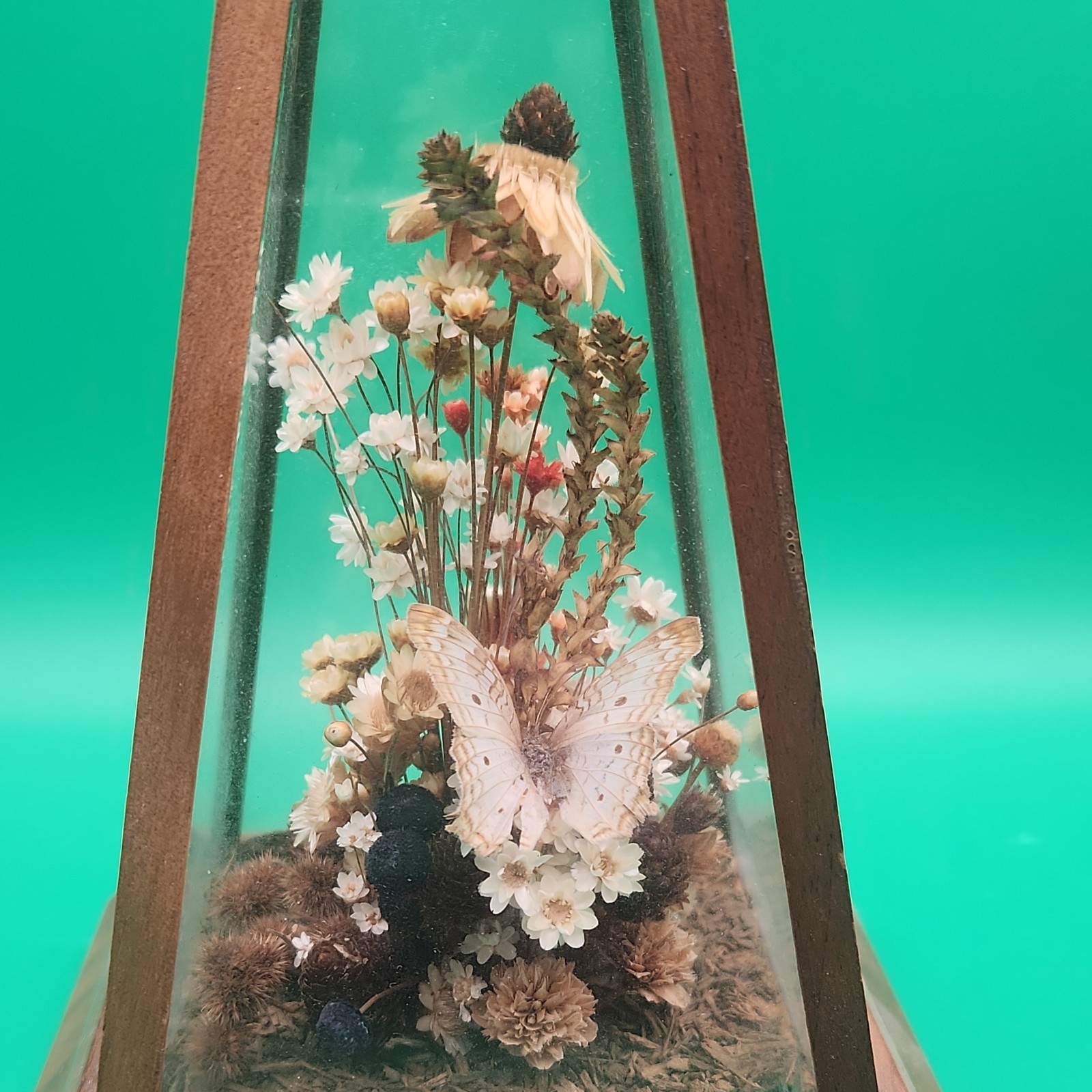Vintage Dried Flowers With Butterfly 9” x6” Art obelisk glass box