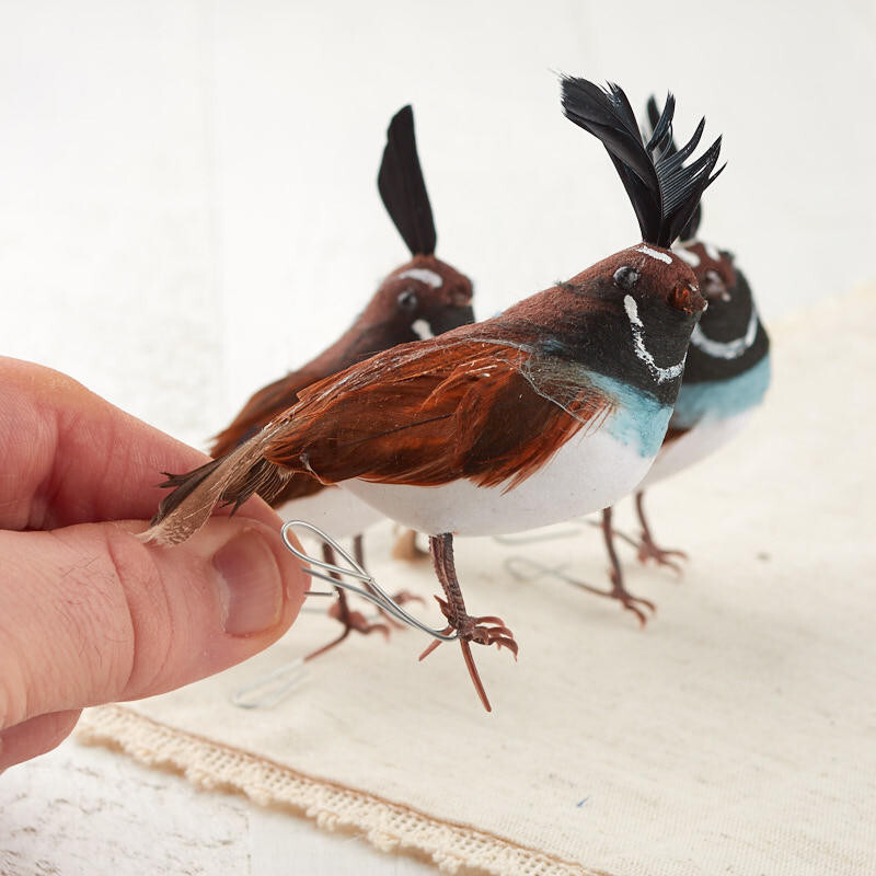 Group of 12 Feathered 3″ California Quail Birds with Wired Feet