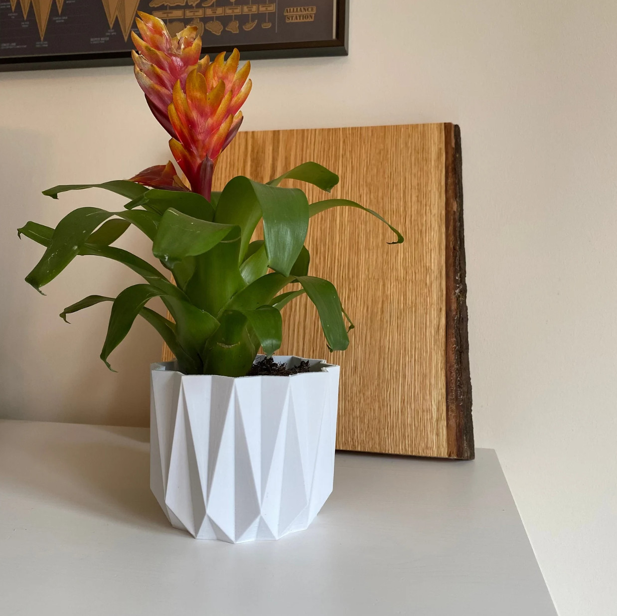 Small Decorative Flower Pot – White – Indoor Plant Pot