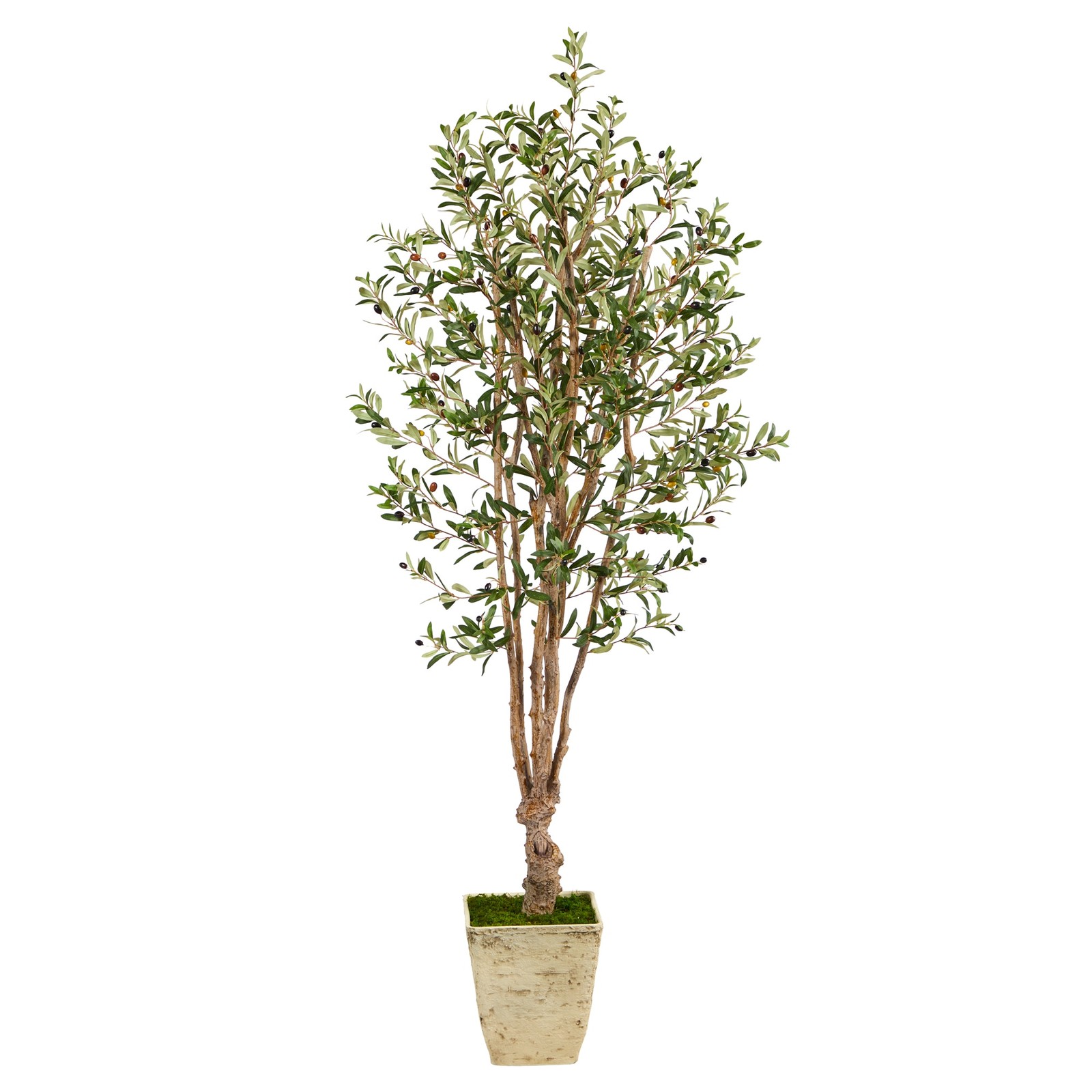6.5ft Olive Faux Tree in Country White Planter Home Decor Office Decor