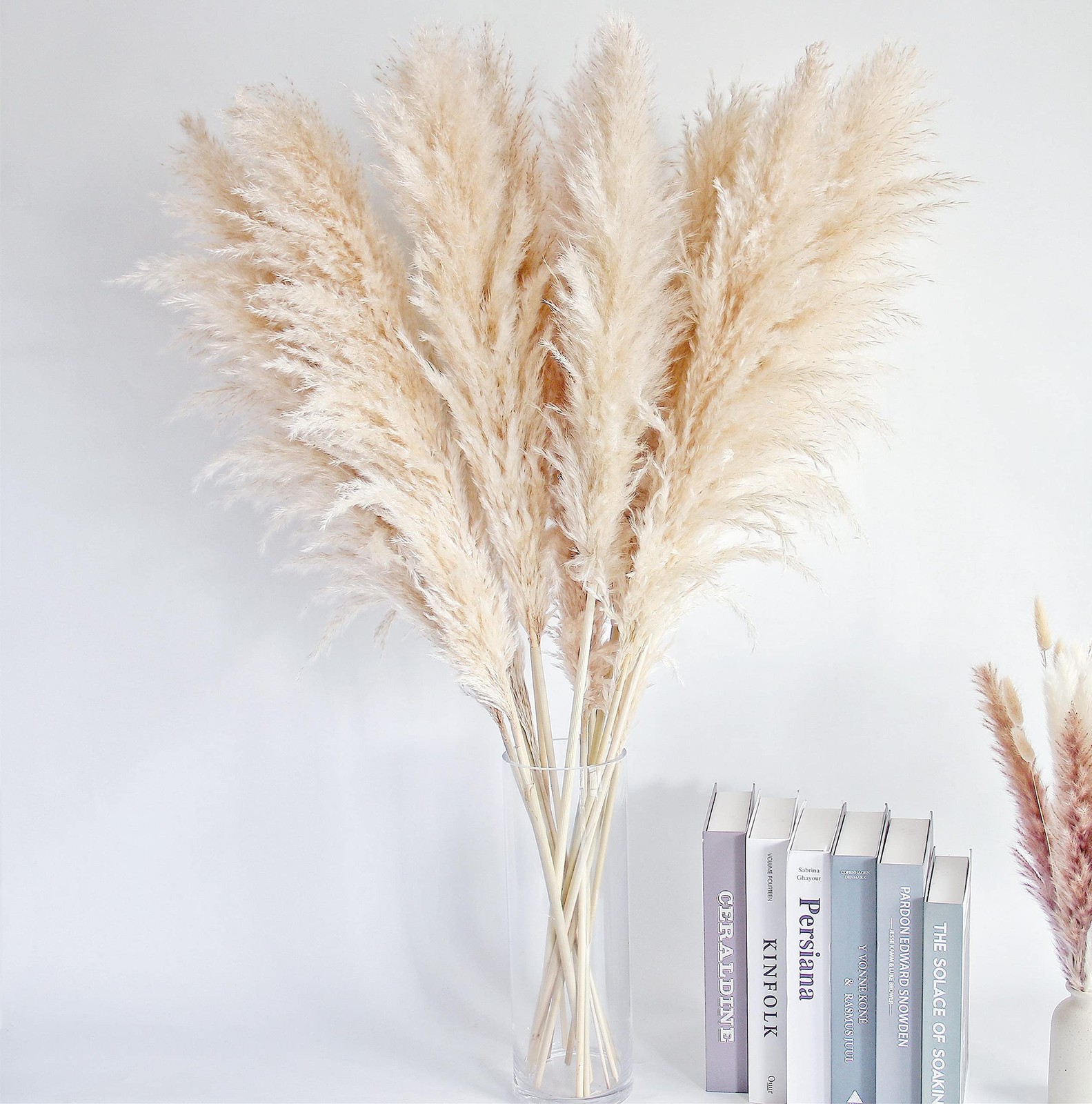 40″ Tall Pampas Grass â€“ 16 Stems Natural Pompas Grass for Wedding, Party, F…