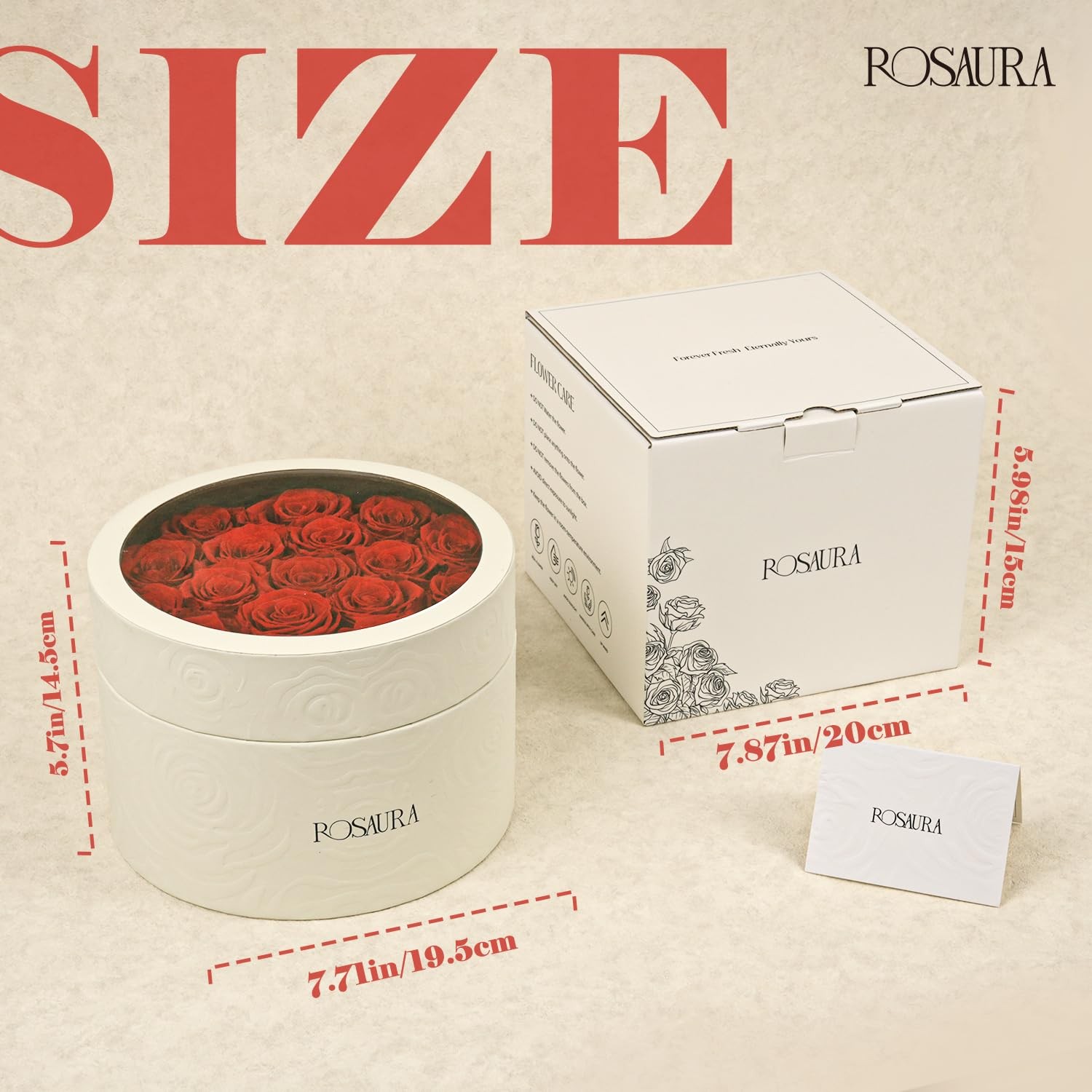 17 PCS Red Round Preserved Roses Gift Box Real Forever Flowers Anniversary