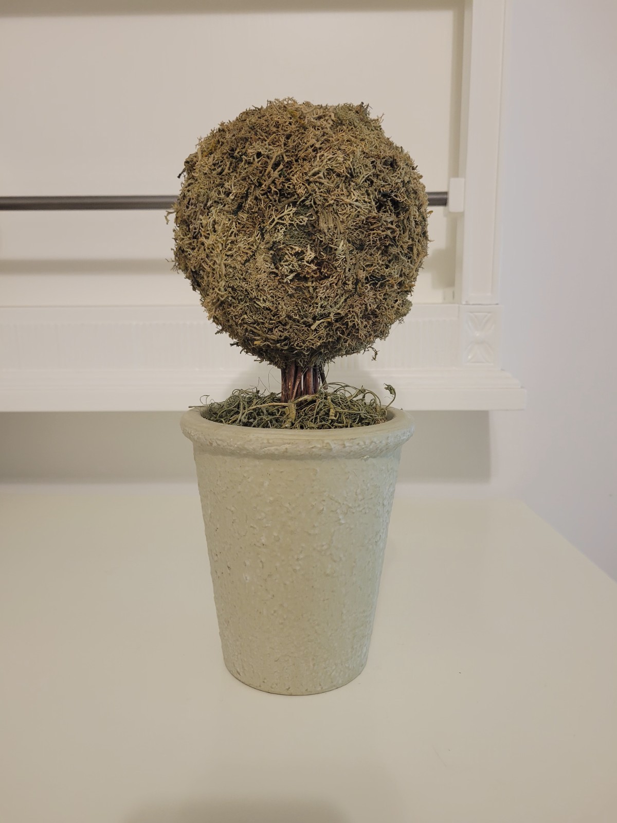 Artificial Moss Ball Topiary in Pot, 12 in, Green/Beige Dried Greenery