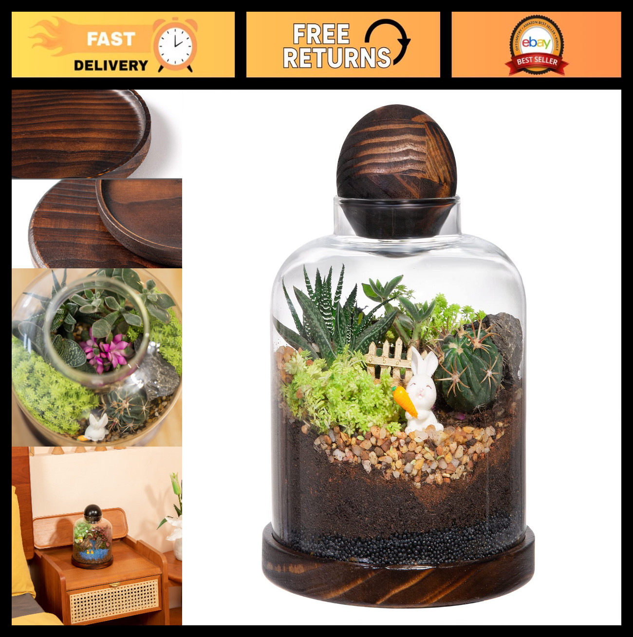 Large Glass Terrarium for Succulents & Moss – Mini Table Decor with Wood Base &