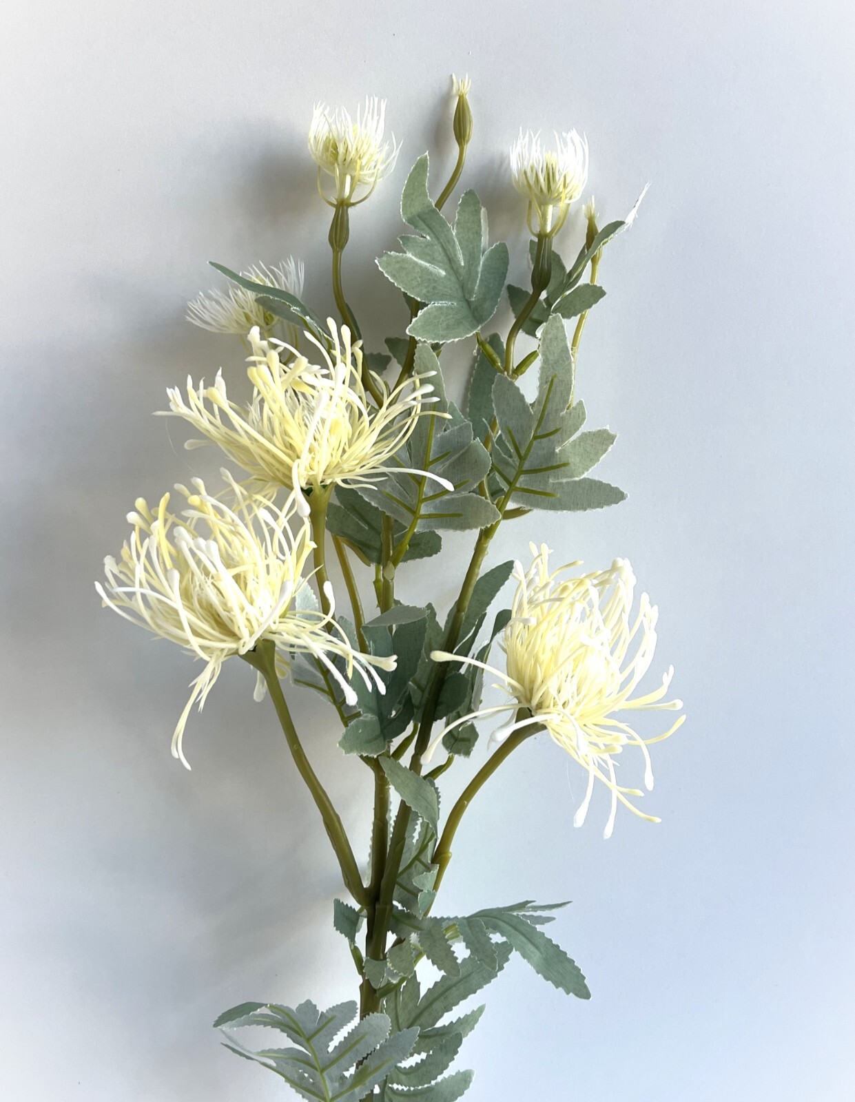 Australian Native Flowers Leucospermum Flower Stem Cream White Faux Silk Plastic