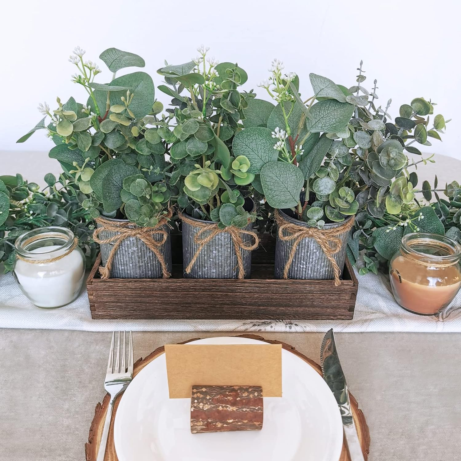 Set of 3 Farmhouse Galvanized Metal Pots Centerpiece Artificial Silver Dollar Eu