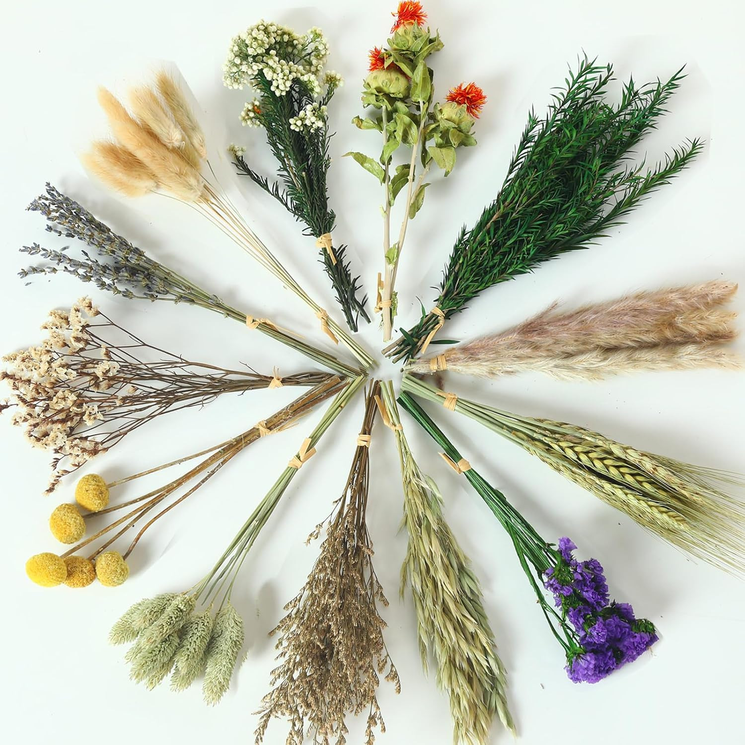 13 Kinds Mini Dried Flower Bouquet, 5-8″ Boho Brown for Crafts, Vase Filler | Na