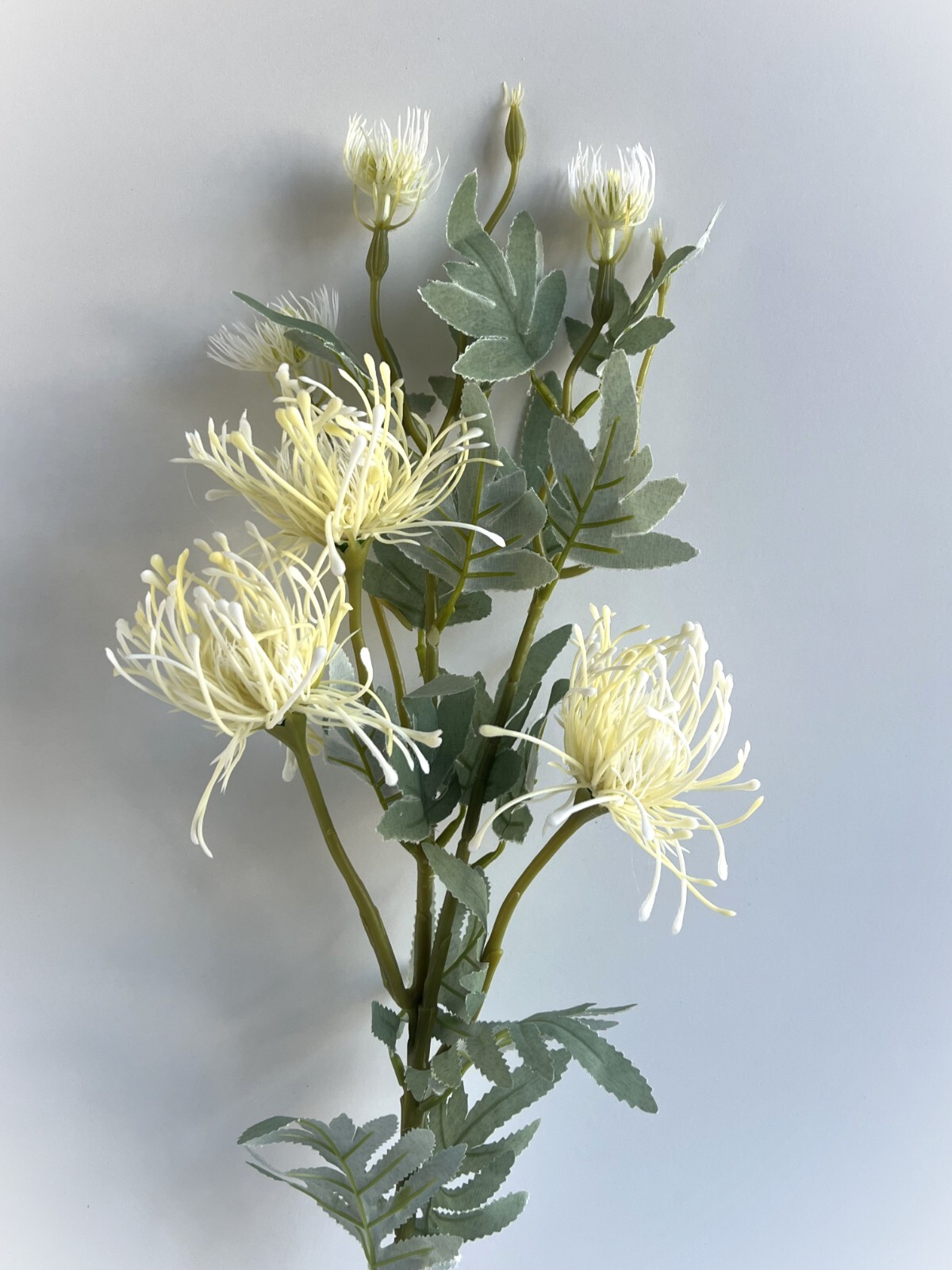 Australian Native Flowers Leucospermum Flower Stem Cream White Faux Silk Plastic
