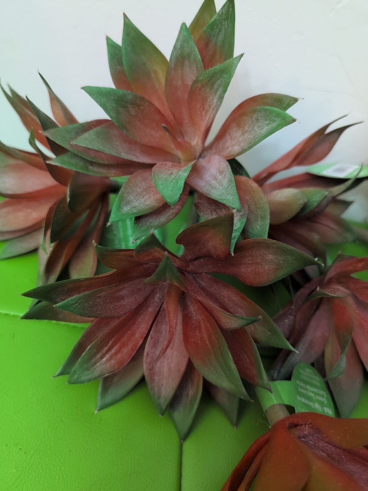 Artificial OrangeIsh Green Succulent Pick 7″X 4″ (8)