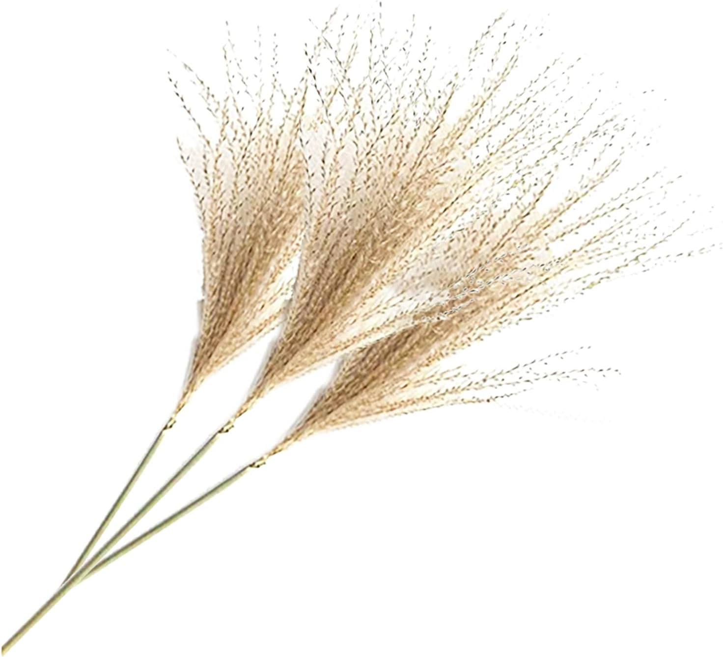 500Pcs Natural Dried Pampas Grass Plume 17Inch Tall Dried Flowers Bulk Reed Drie