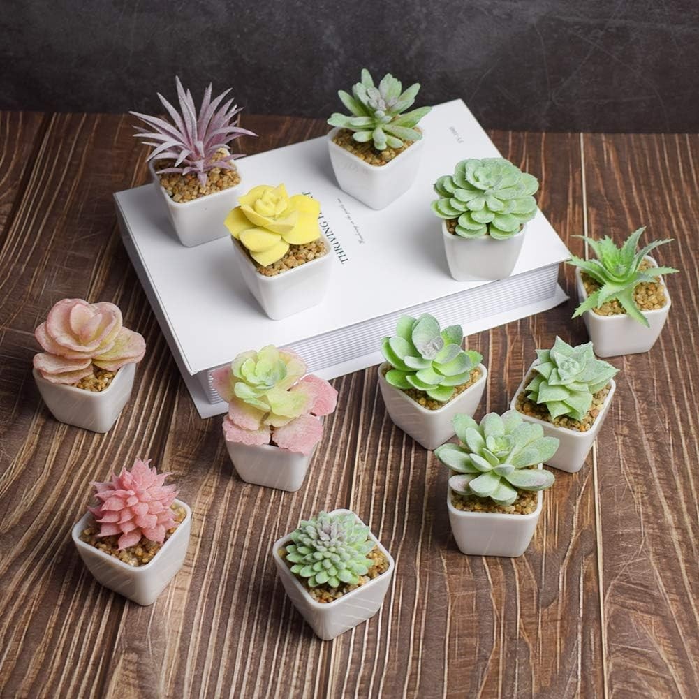 Eco-Friendly 24 Mini Artificial Succulents – Perfect for Home and Office