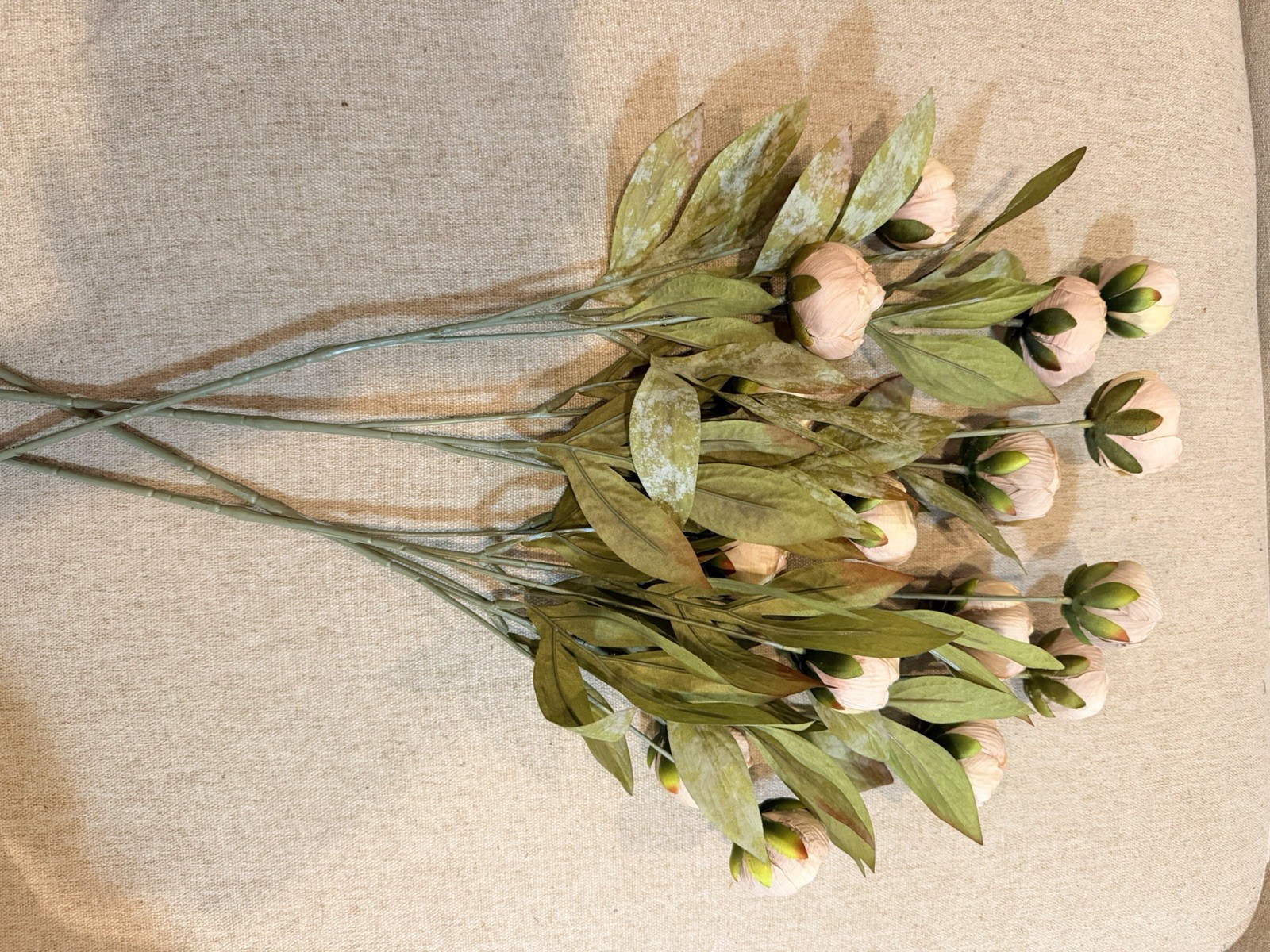 Michael’s Ashland Tan Artificial Peony Stems Set of 4 New