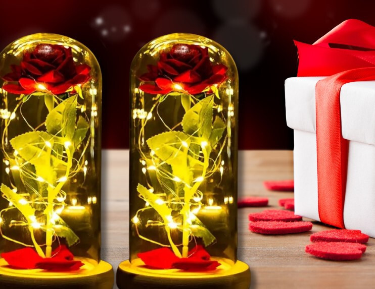 Premium Rose in Glass Dome Beautiful Fairy Lights- Beauty and The Beast Inspired