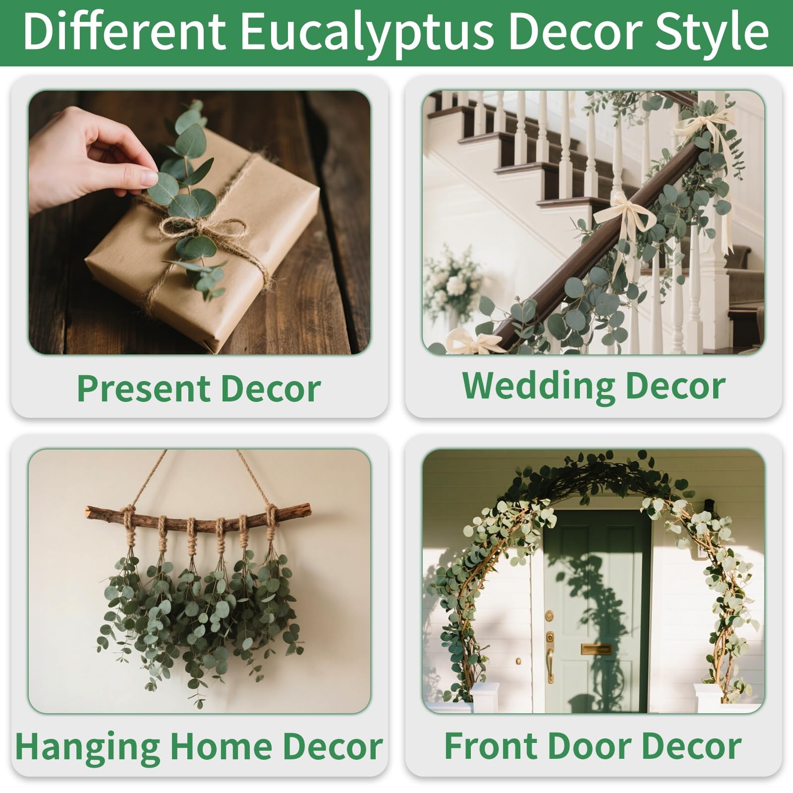 Green Dried Eucalyptus Bundle 12 Pcs Real Stems 17 Inch Fresh Natural Eucalyp…