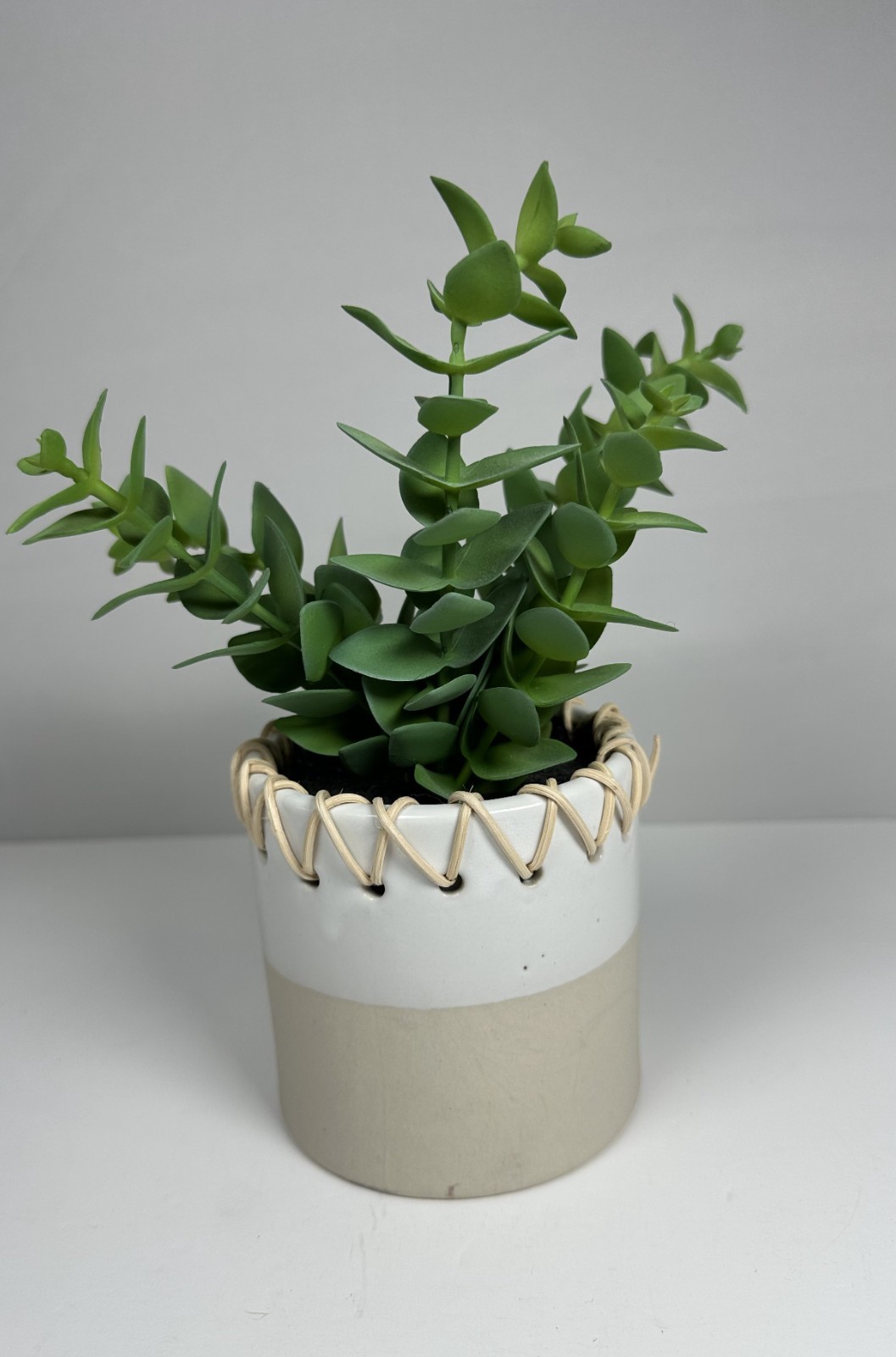 Place & Time Artificial Succulent in Twine-Wrapped Ceramic Pot–Good Nature Décor