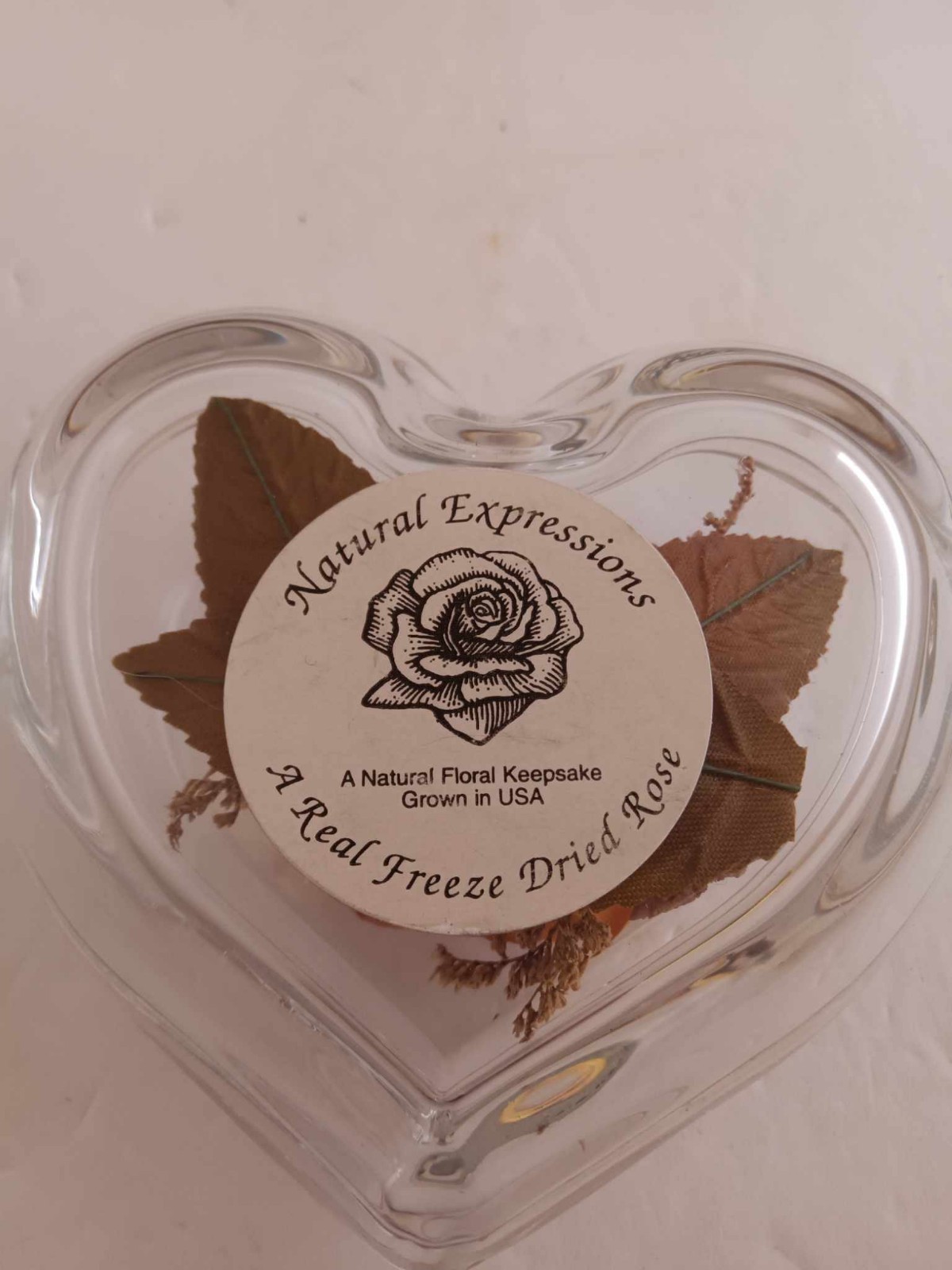 Vintage Natural Expressions Freeze Dried Rose in Glass Heart