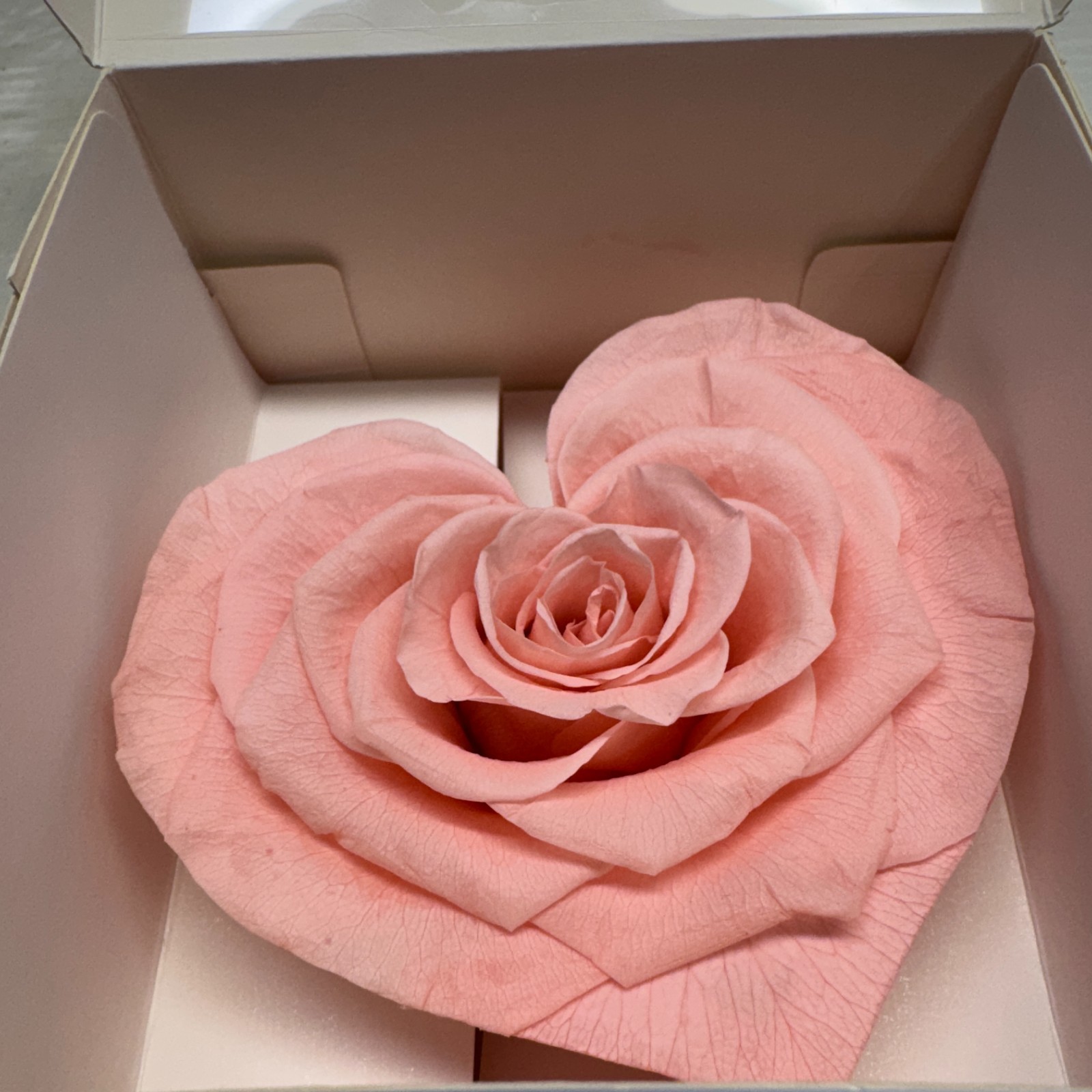 Preserved Rose Gift Box Set Red & Pink Heart Rose Floral Decor 2 Pieces