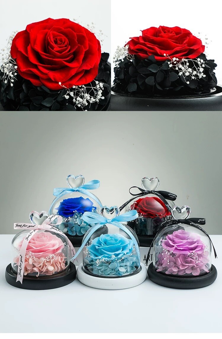 Eternal Rose flower Preserved rose everlasting rose flower gift with Led Light