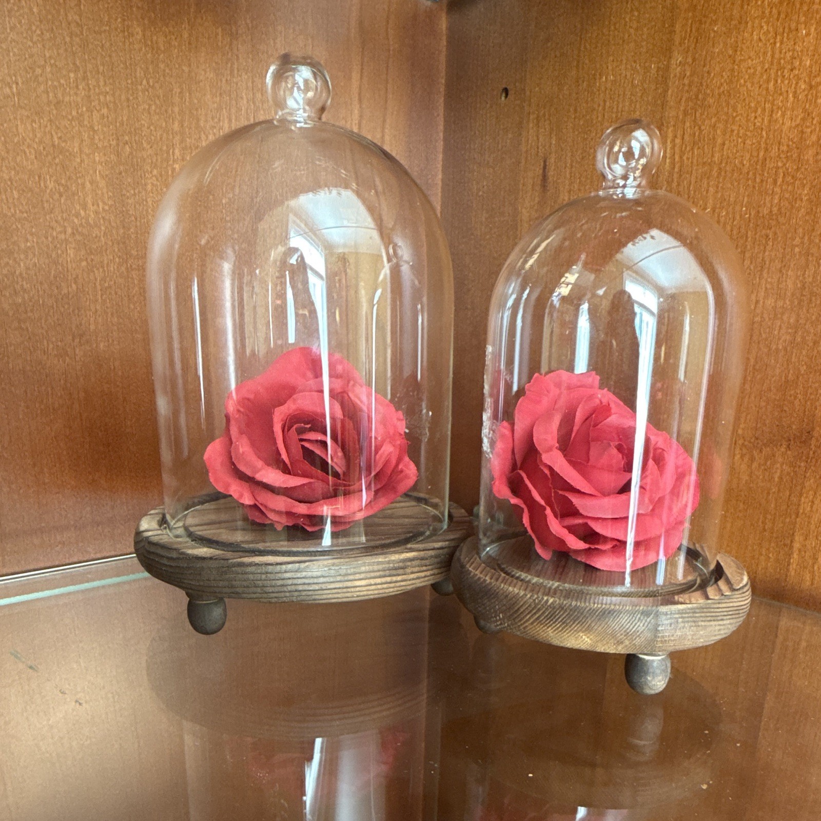 Glass Cloche Dome w/ Wood Base Decor set of 2