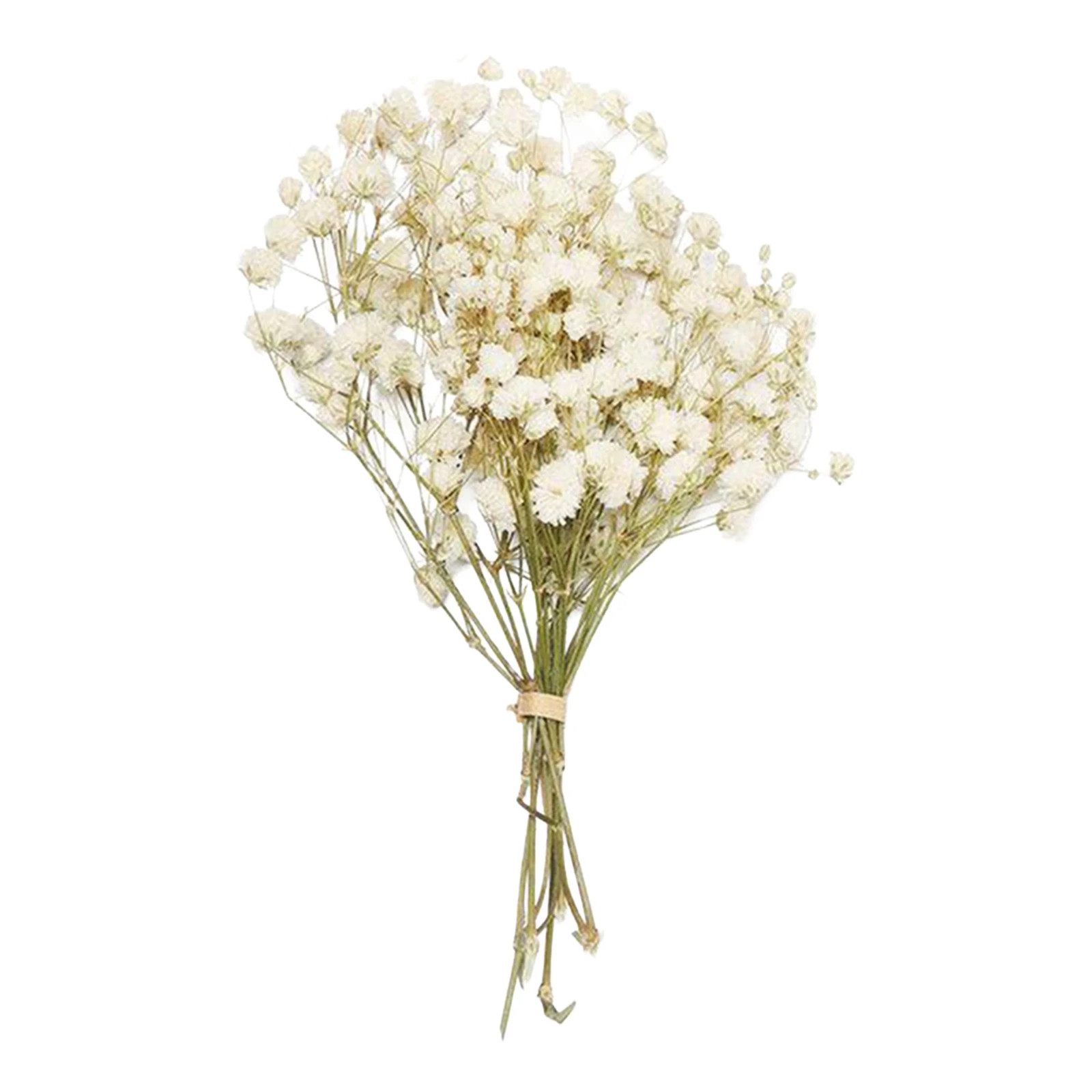 Preserved Mini Flower Bouquet with Baby’S Breath and Lover’S Grass for Home Wedd